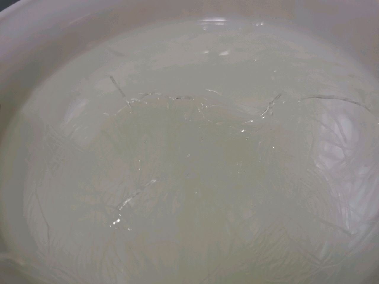 蒜蓉粉丝蒸瑶柱
