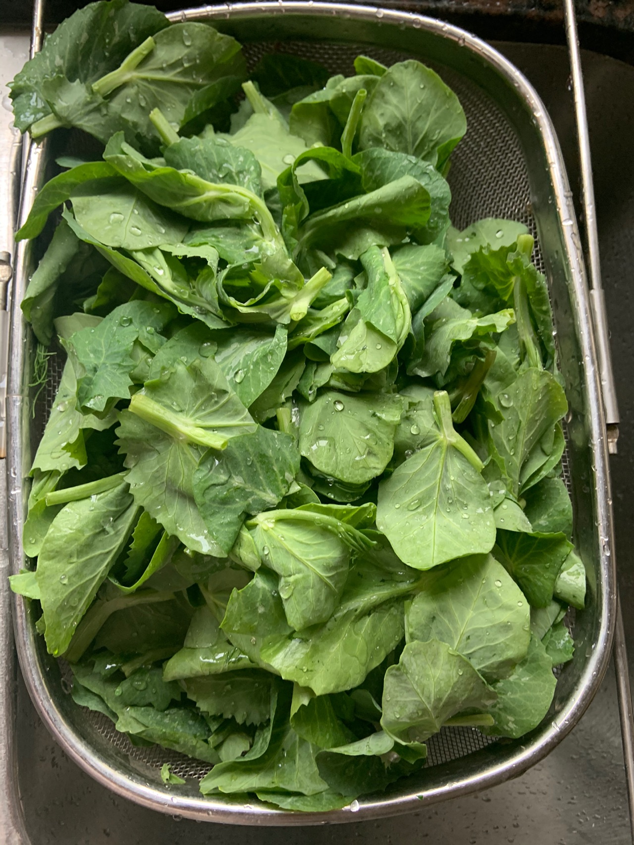 蒜茸清炒蒜苗