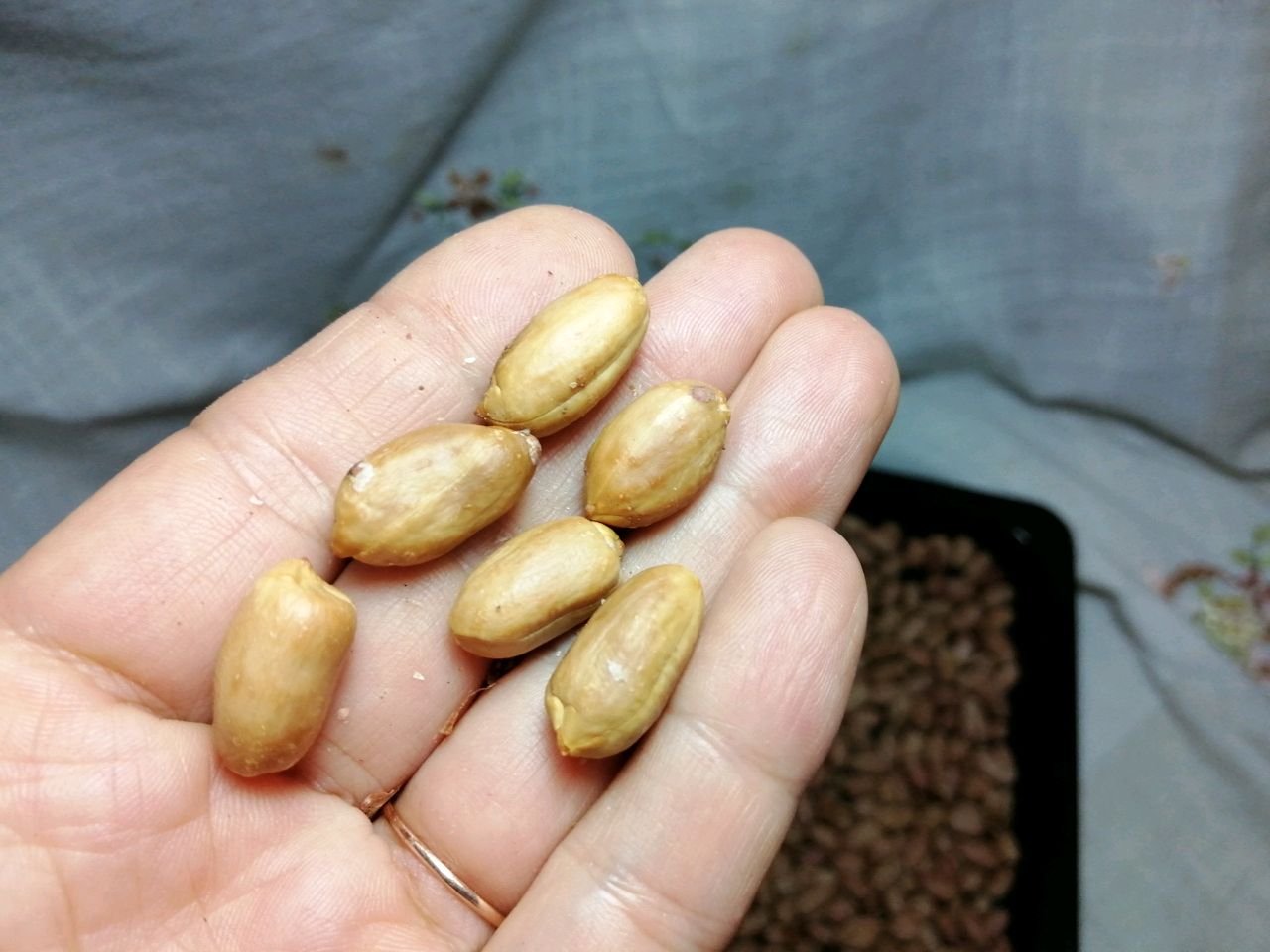 蒜香烤花生米