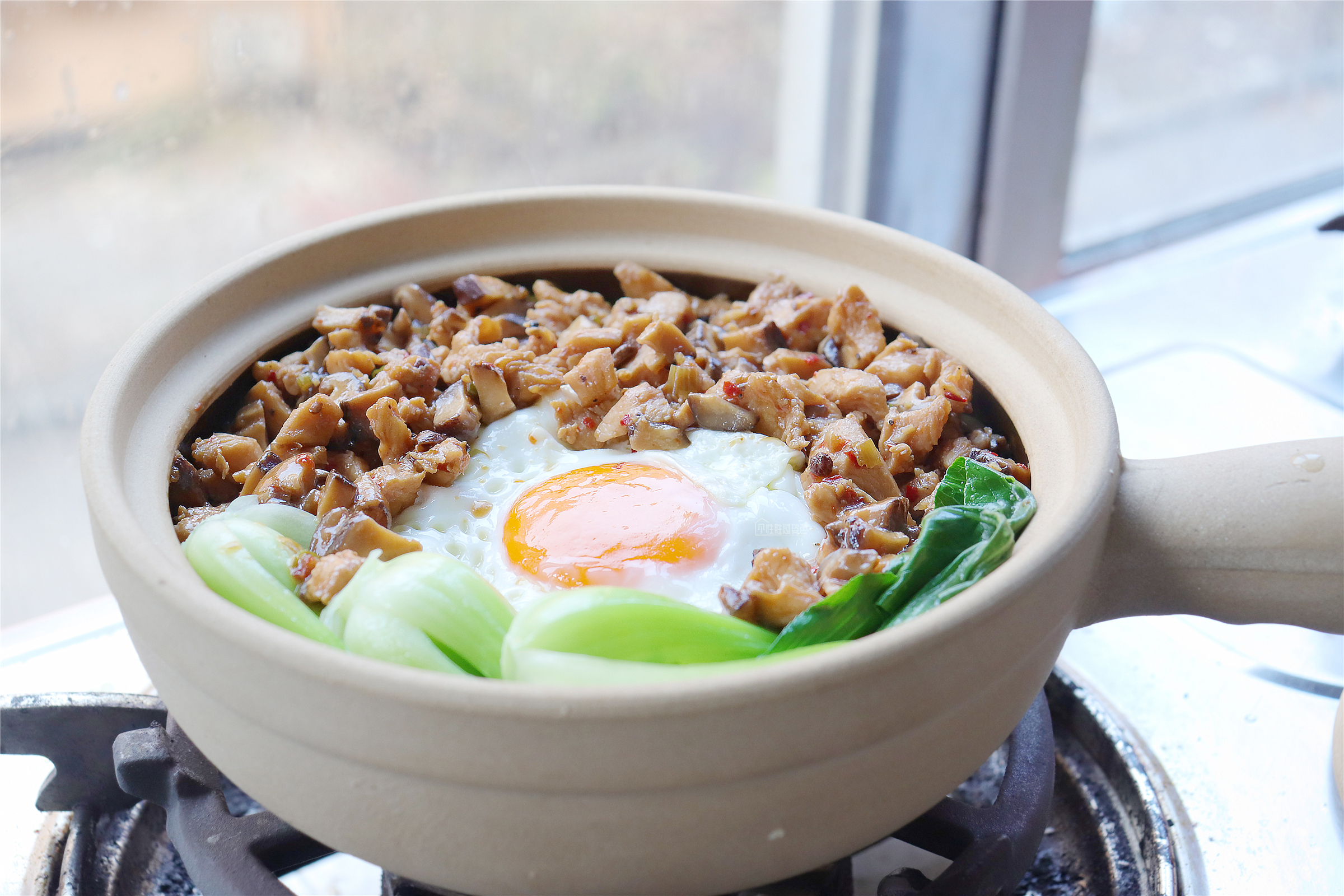 碎鸡肉煲仔饭