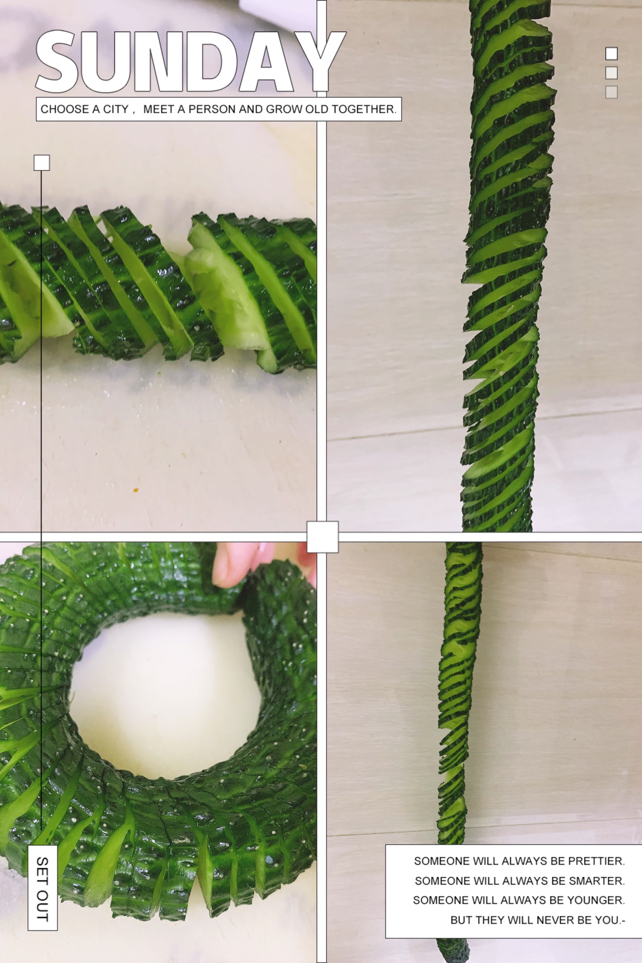 蓑衣黄瓜