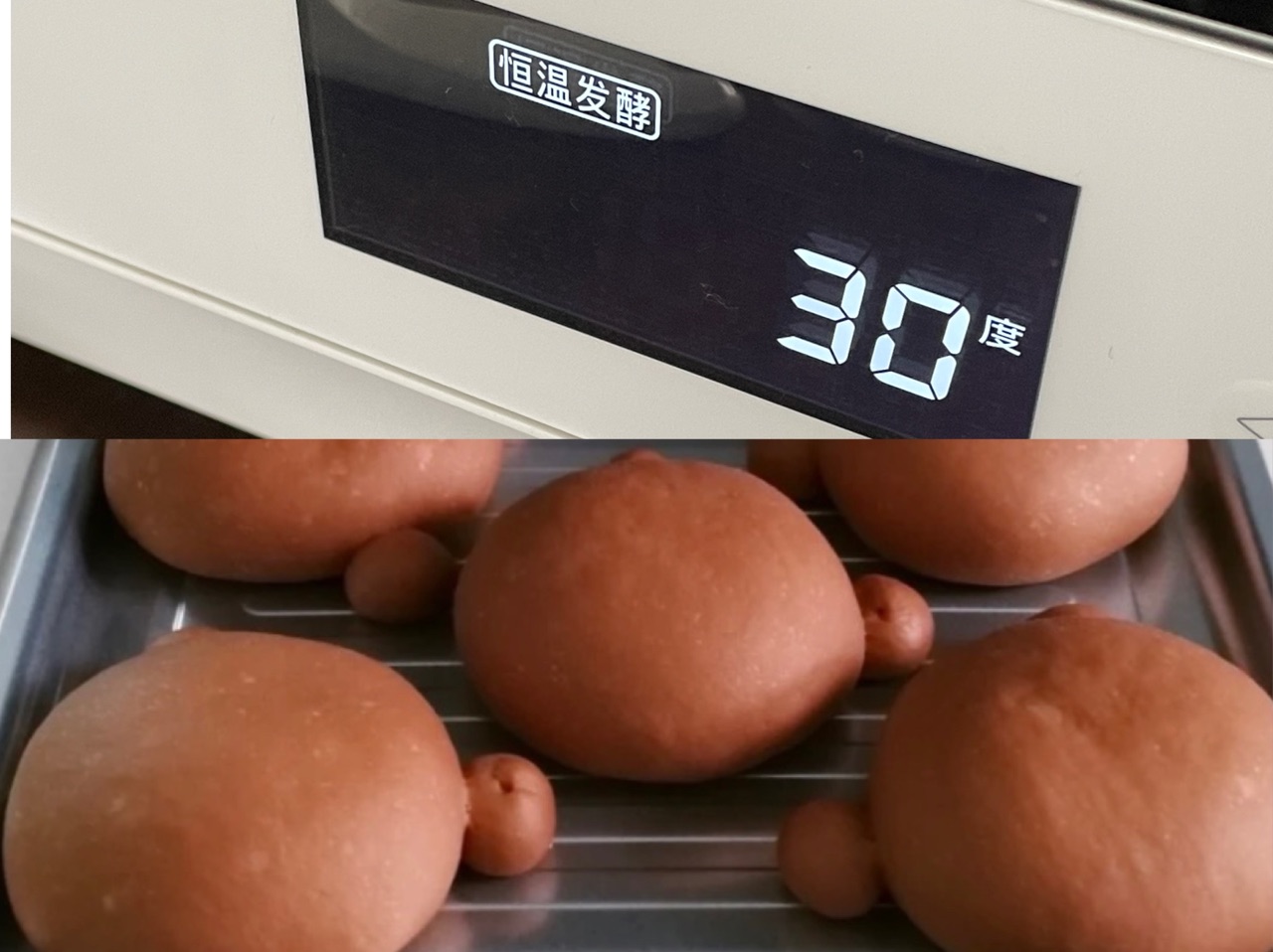 泰迪熊日式豆沙包