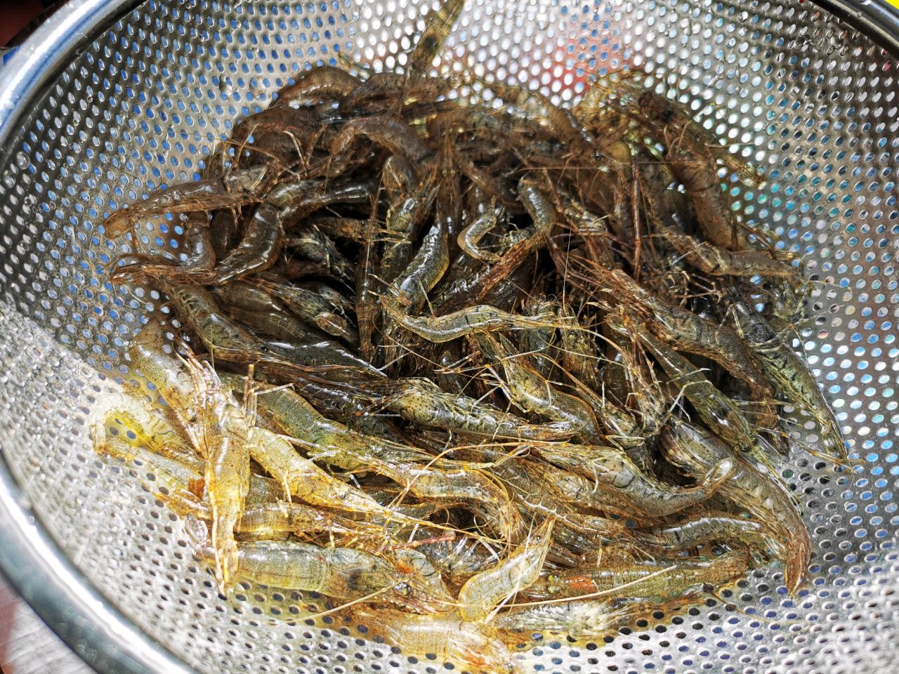 泰式腌虾