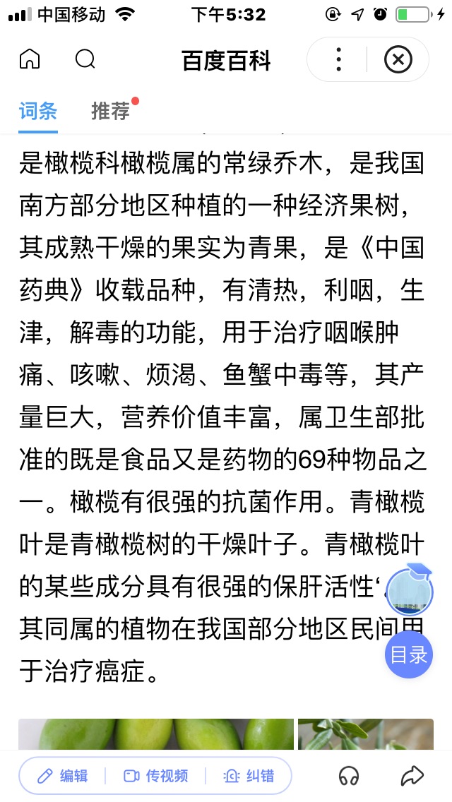 糖渍橄榄（止咳化痰小偏方）