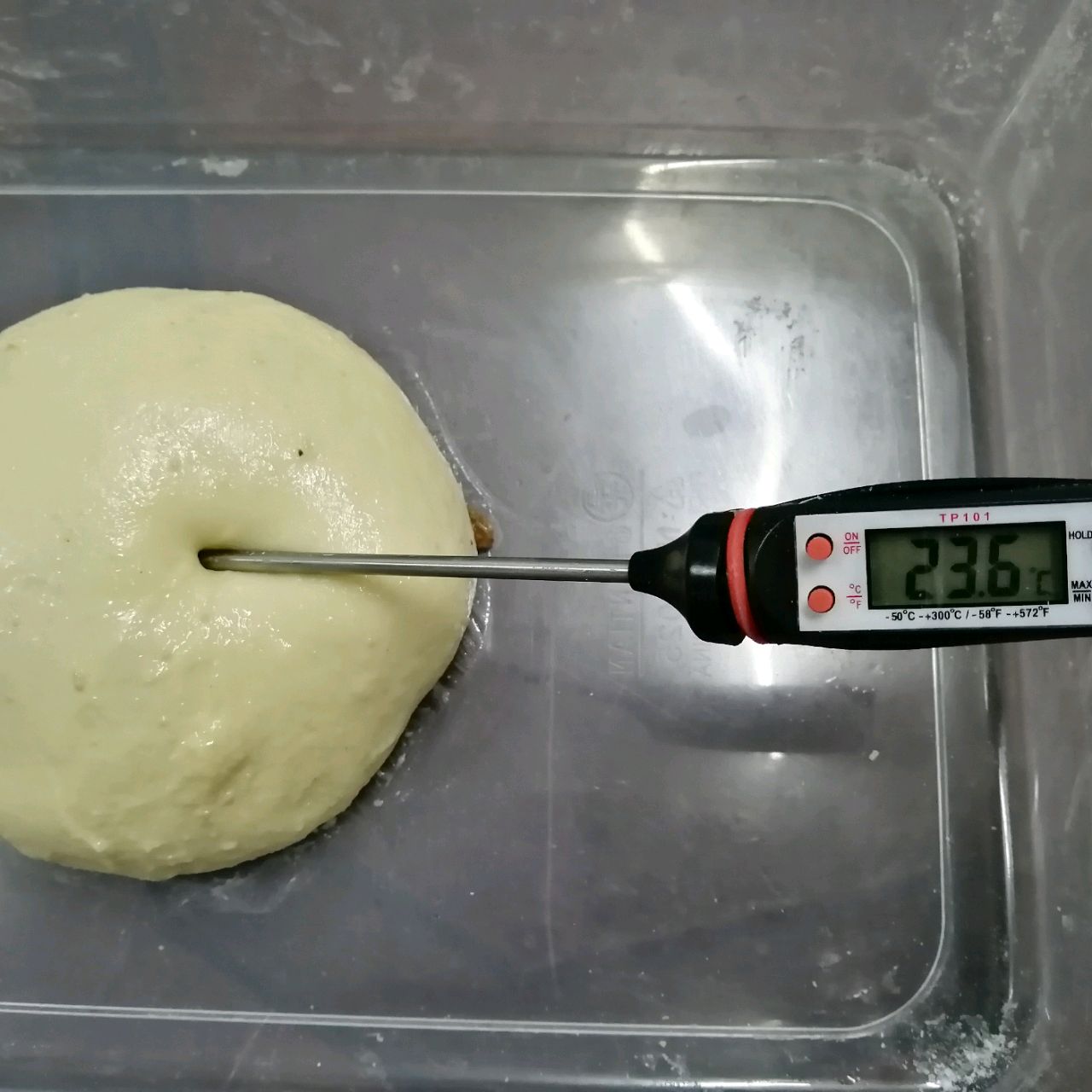 提子吐司