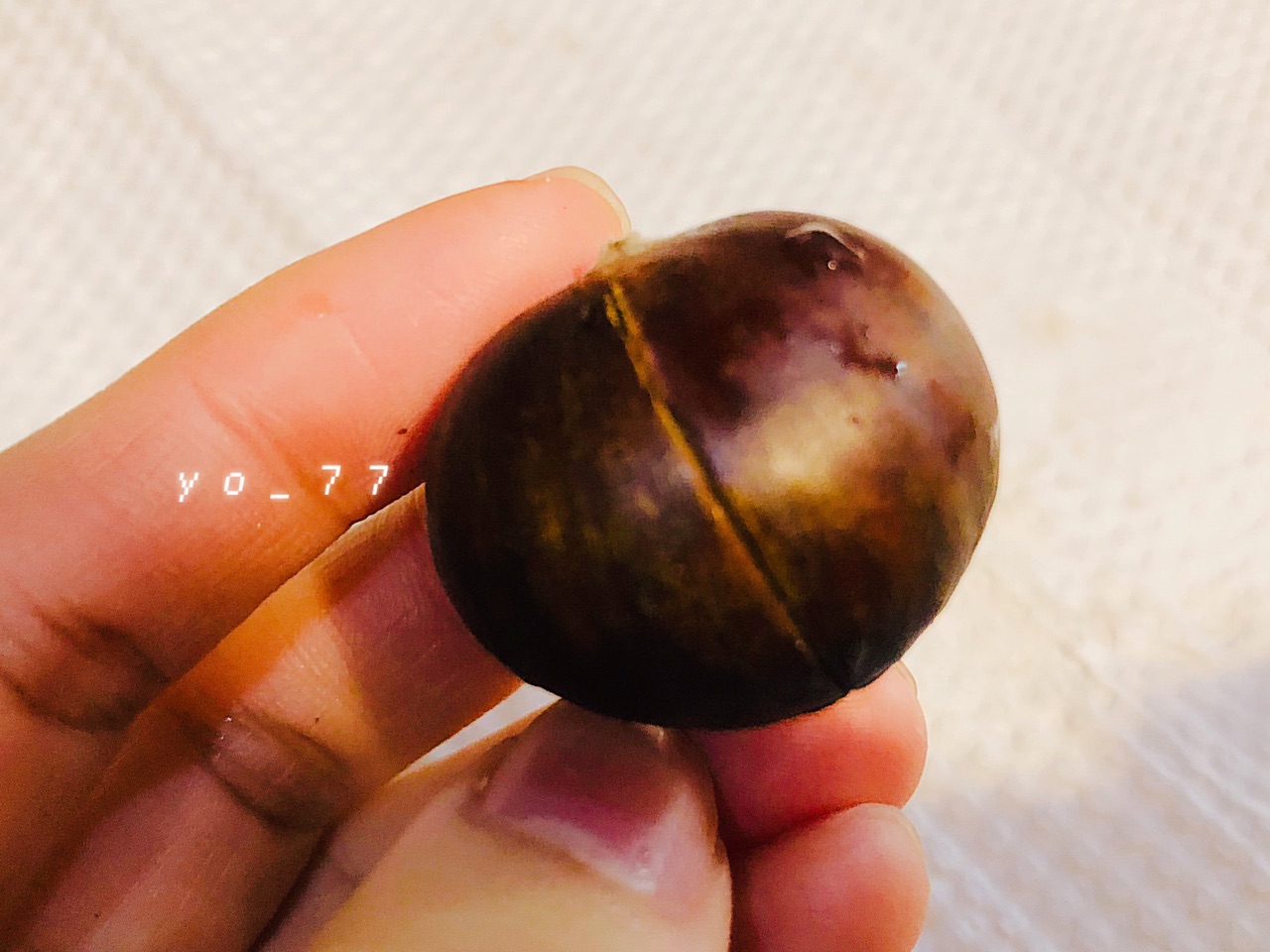 甜糯烤箱版烤板栗