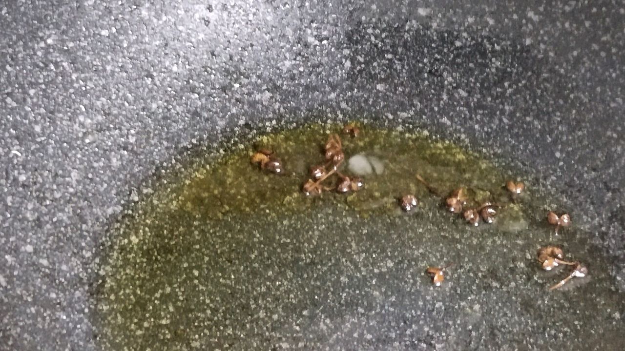 甜丝丝的土豆炖肉