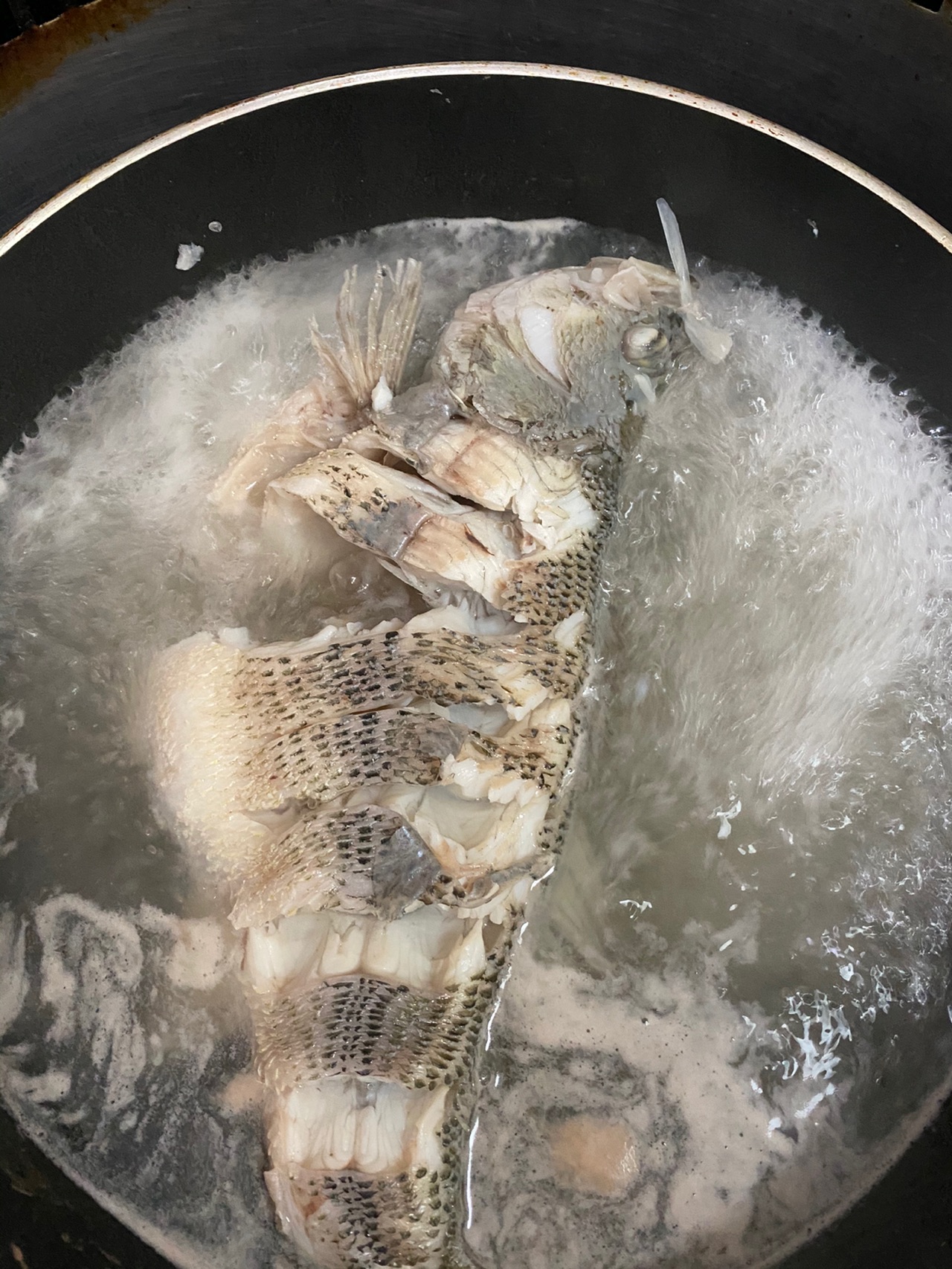 跳水鲈鱼