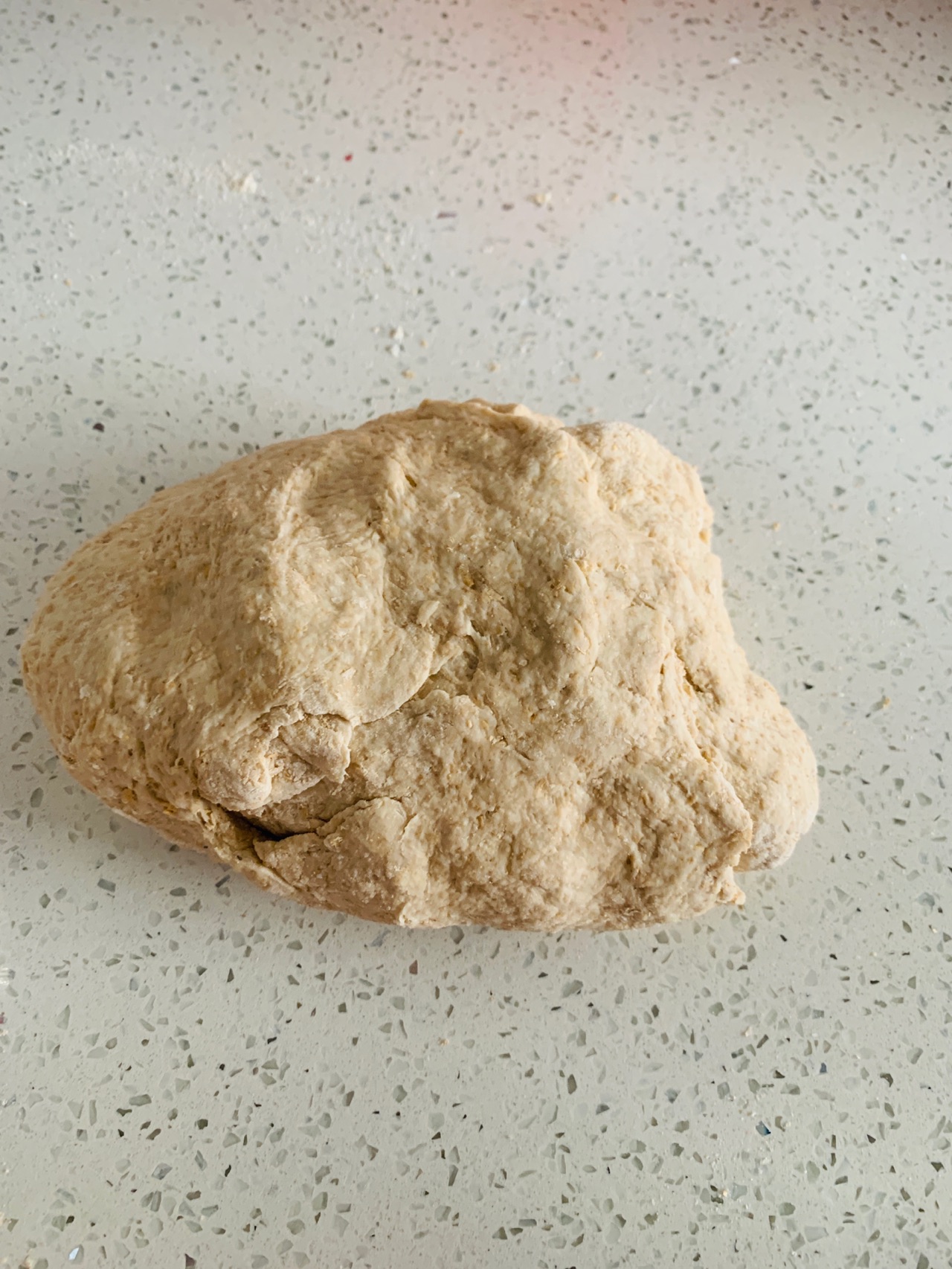 土耳其风味全麦肉饼