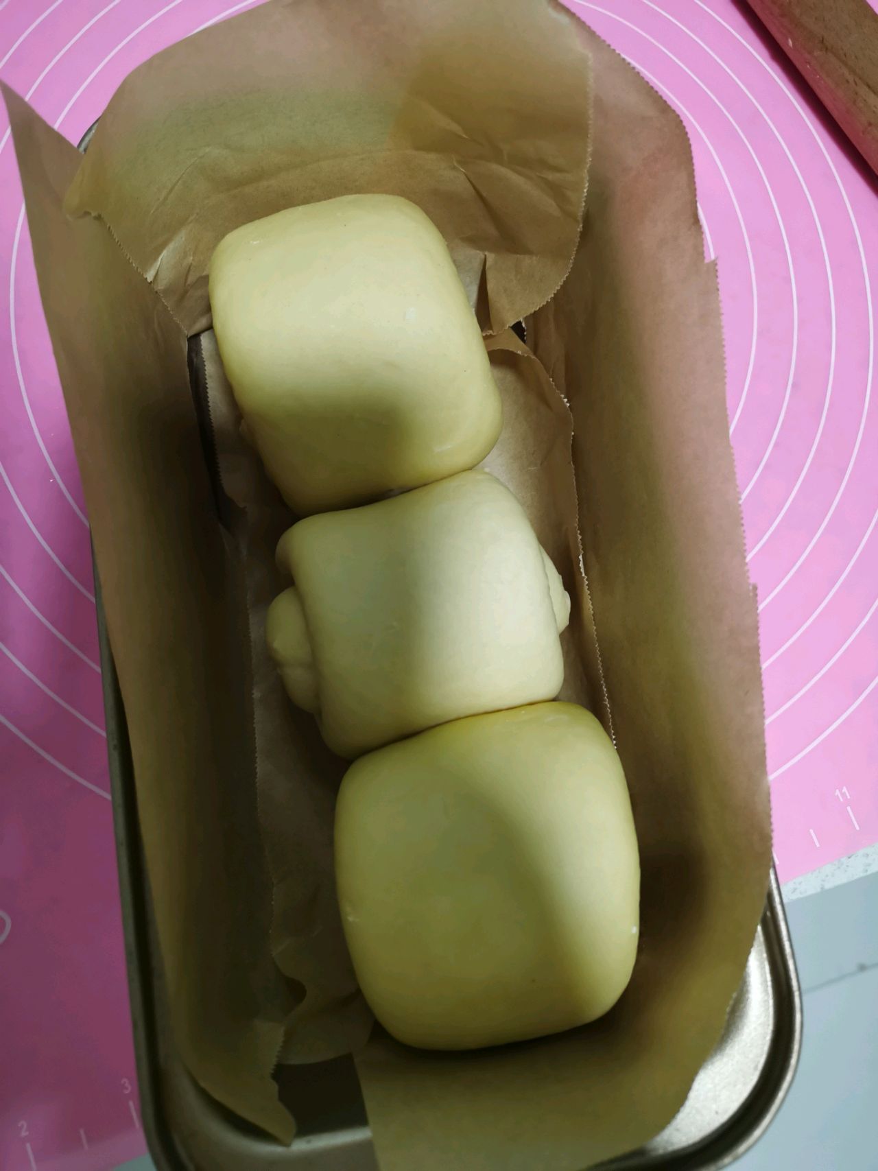 土司面包＋椰蓉面包