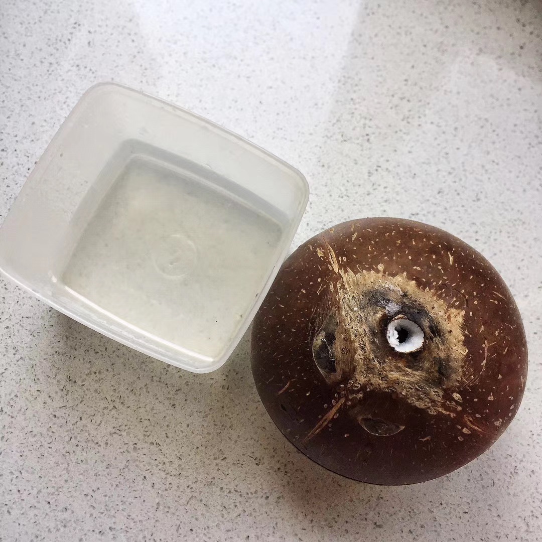 万能的椰子