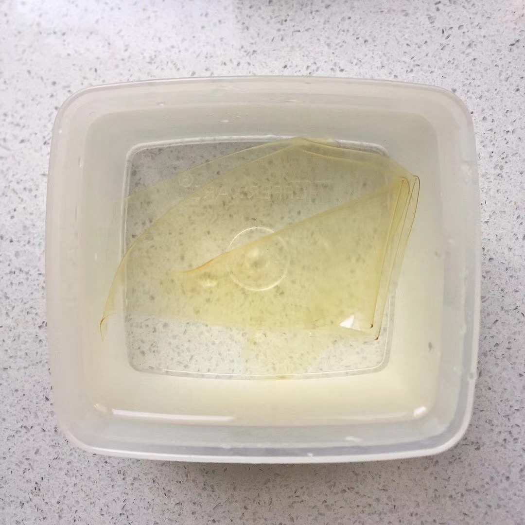 万能的椰子