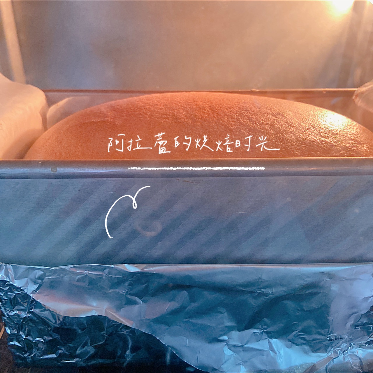 网红柯基抖臀古早蛋糕 ~