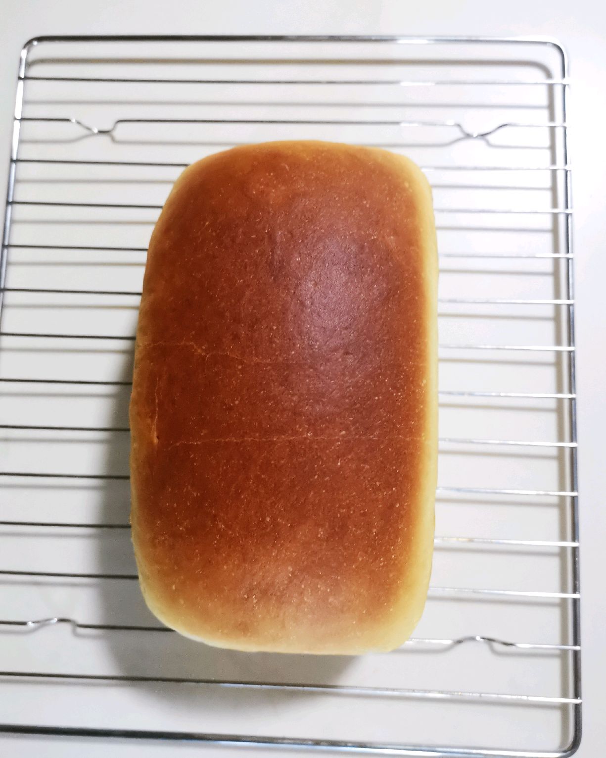 维生素面包