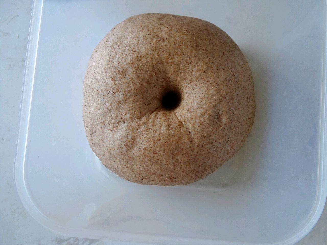 无油无糖全麦面包