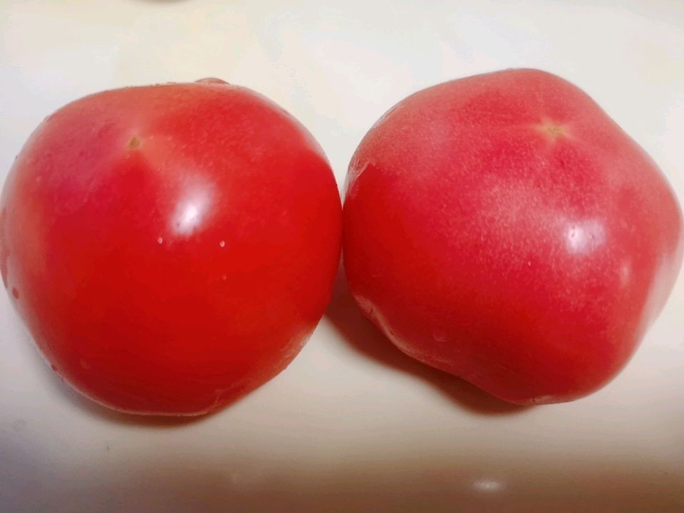 西红柿炒鸡蛋