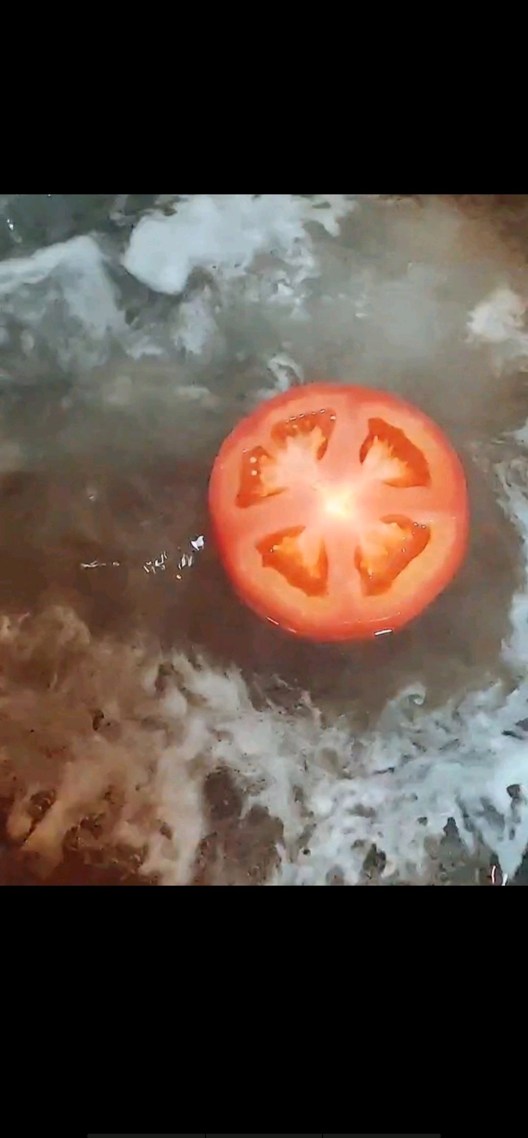 西红柿的故事