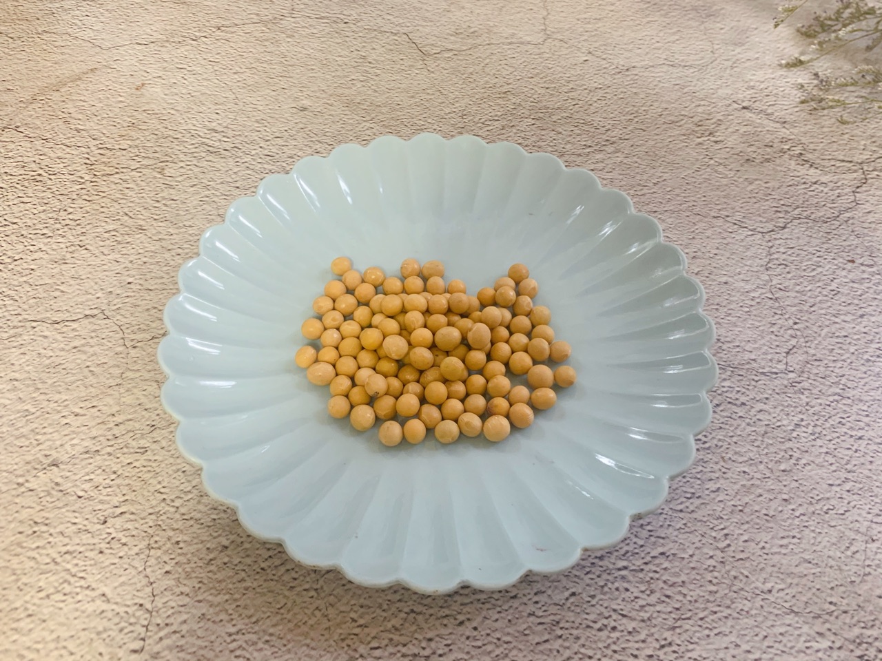 细腻顺滑的紫薯燕麦豆浆