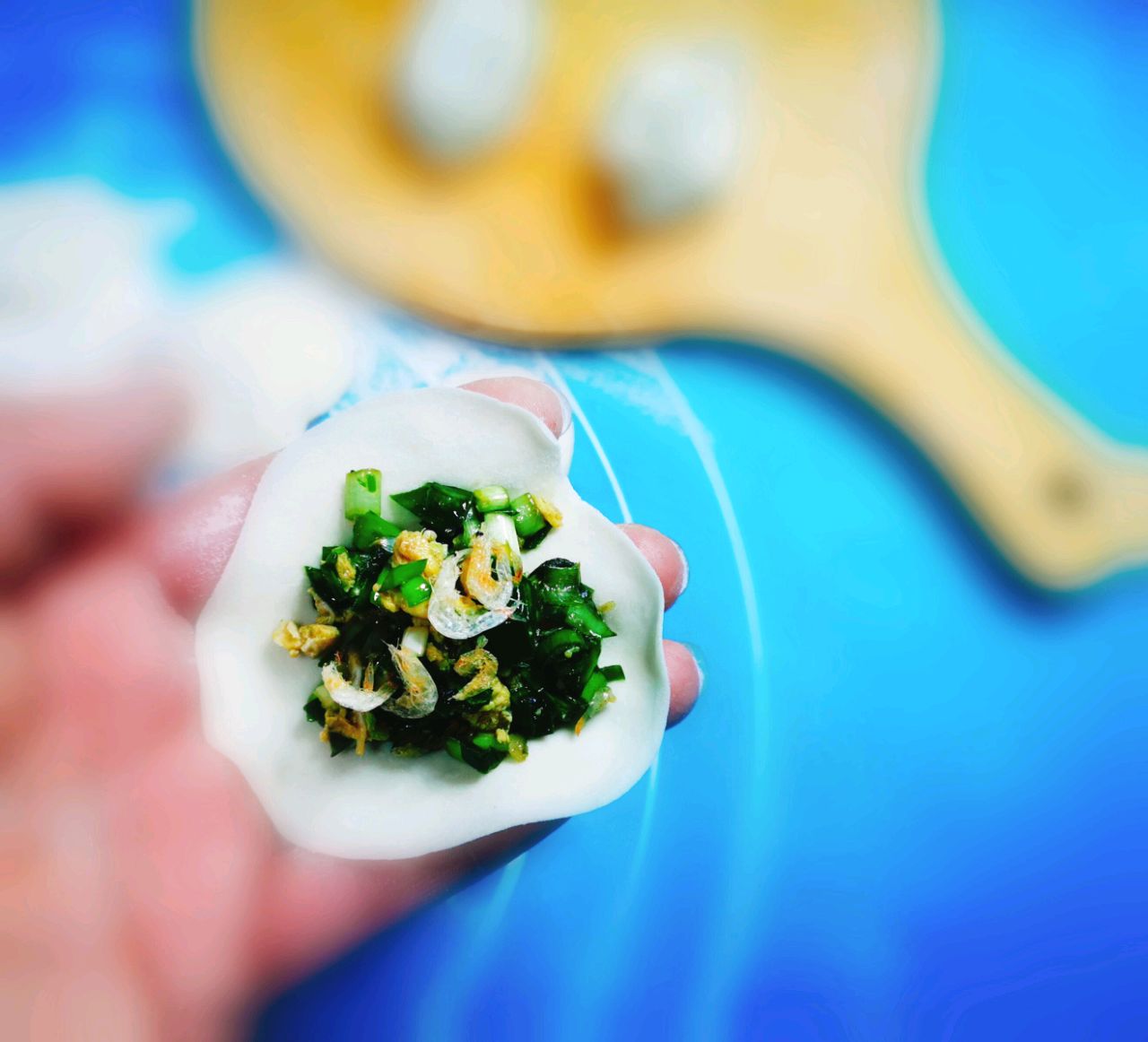 虾米韭菜鸡蛋饺 鲜得不得了