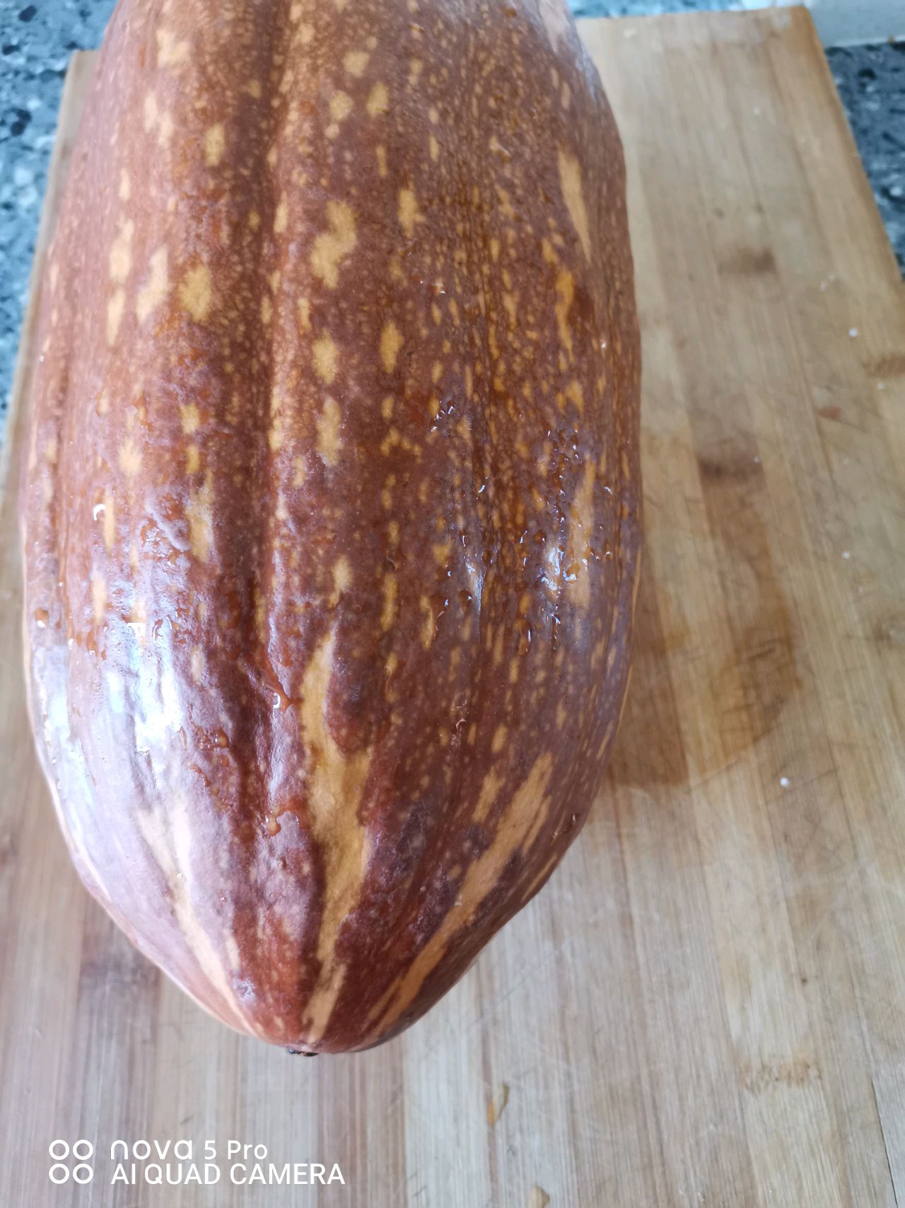 虾仁炖南瓜