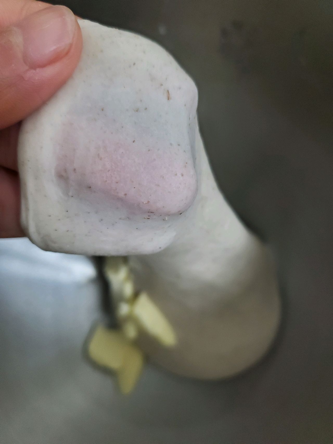 咸蛋黄肉松吐司