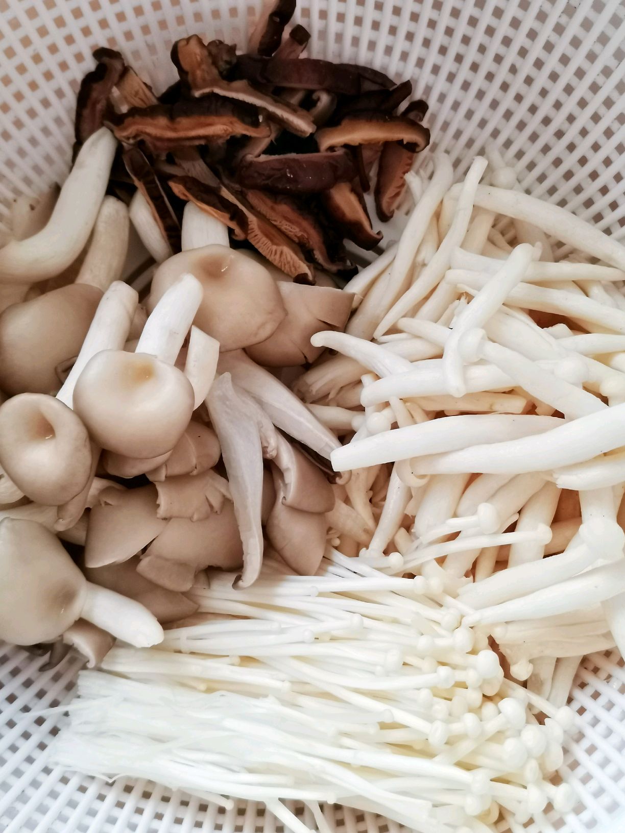 鲜掉眉毛的蚝油炒杂菇