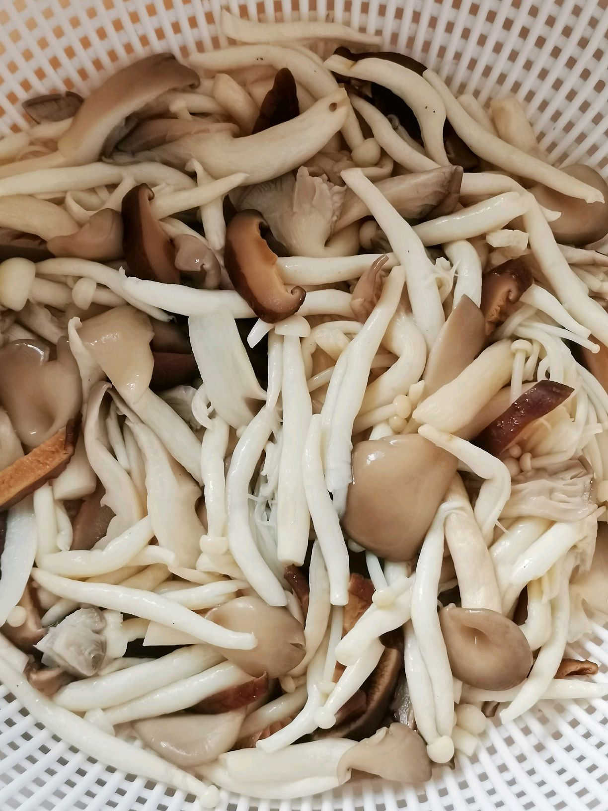 鲜掉眉毛的蚝油炒杂菇