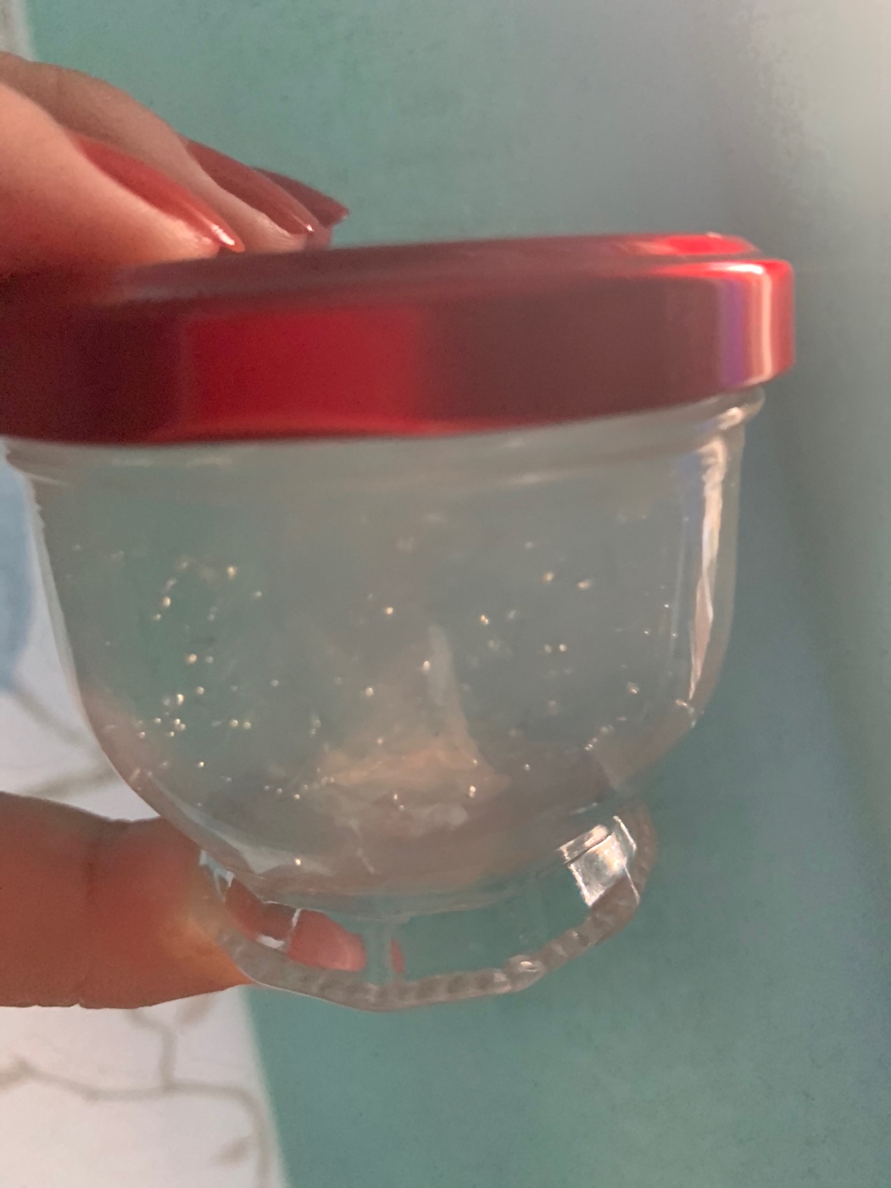 鲜炖燕窝