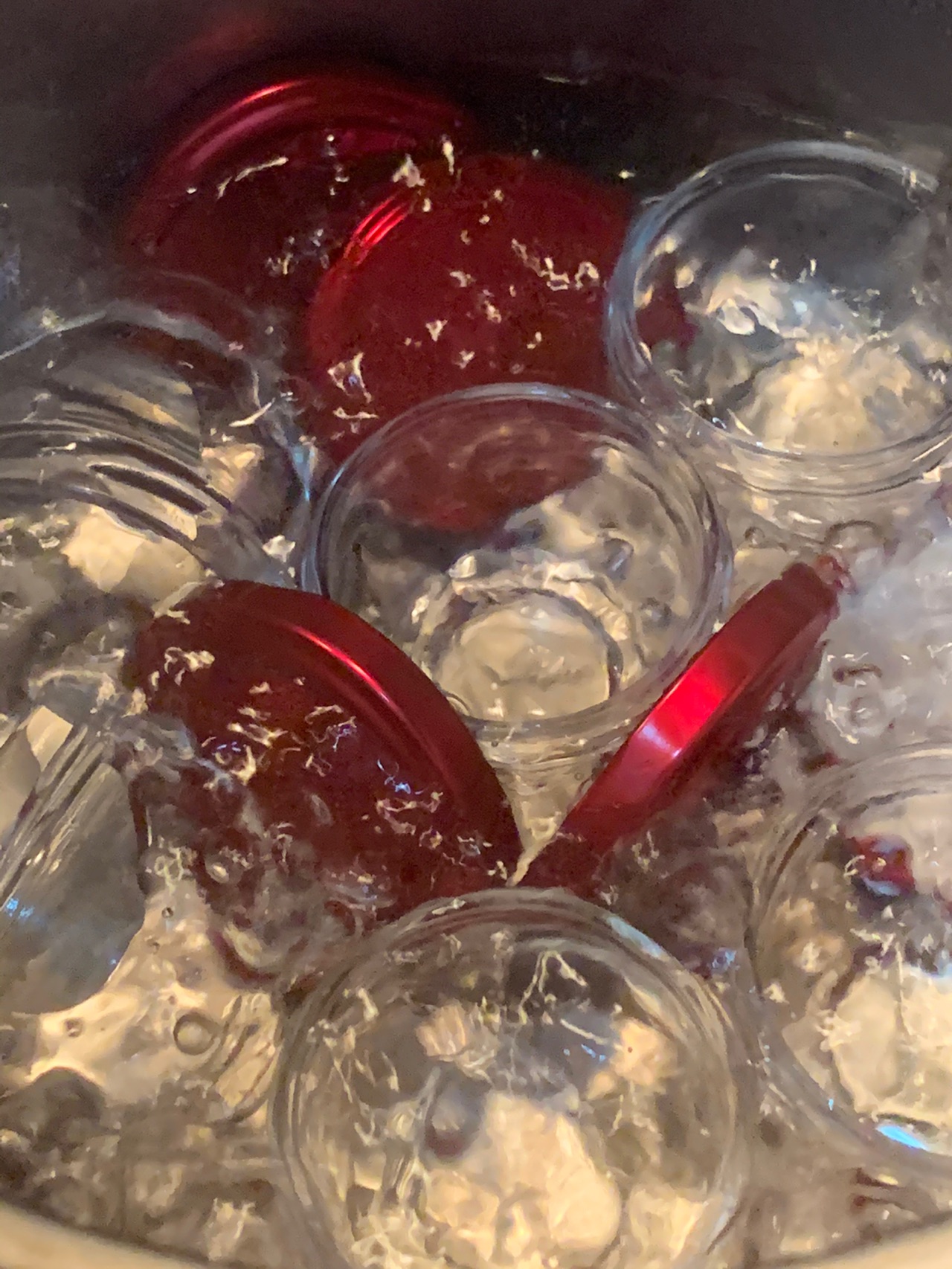 鲜炖燕窝