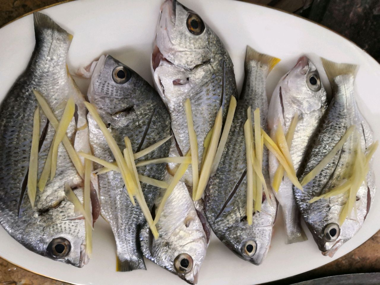 鲜美的浅海鱼