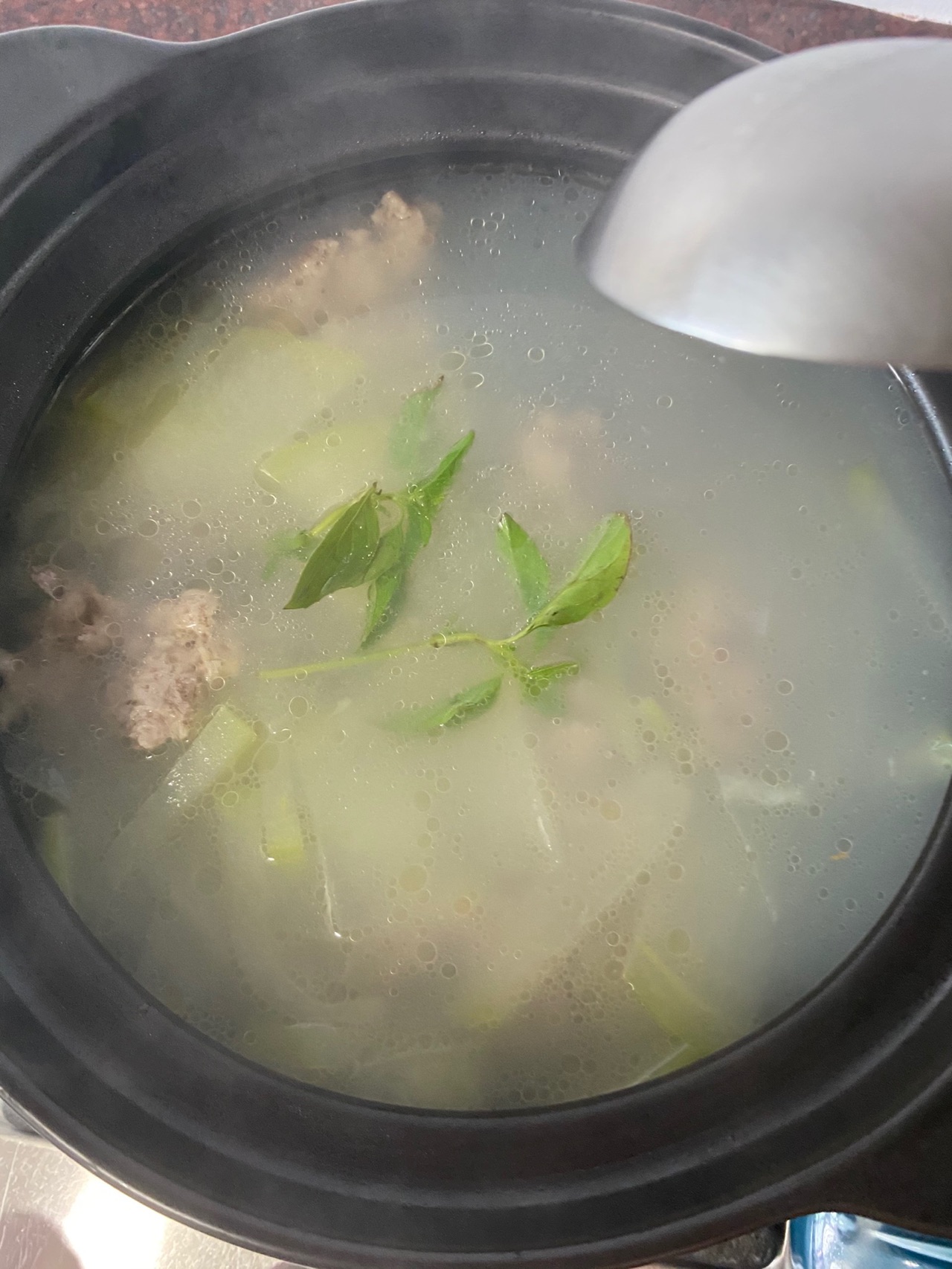 鲜美冬瓜沙白汤