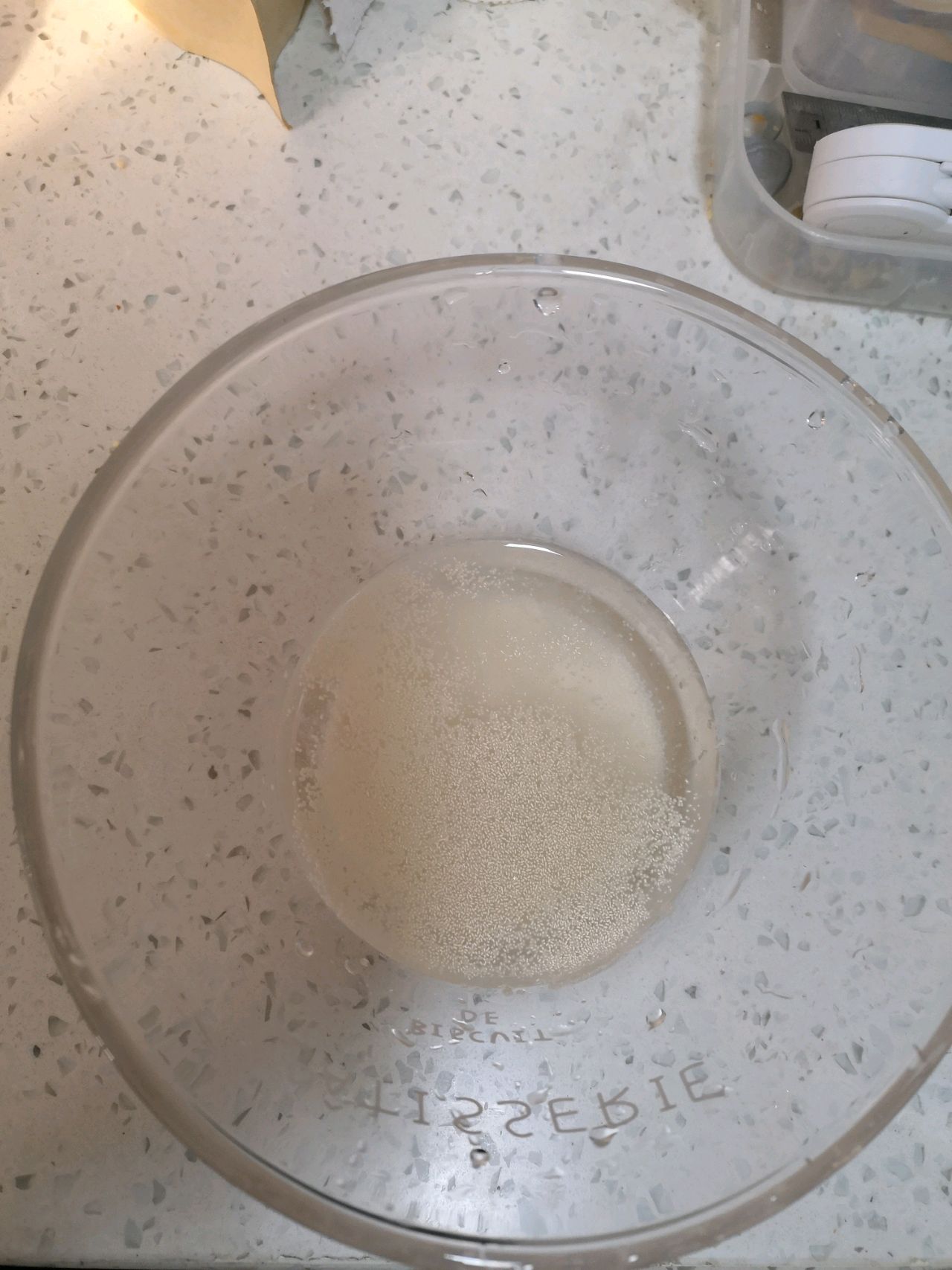 鲜奶面包
