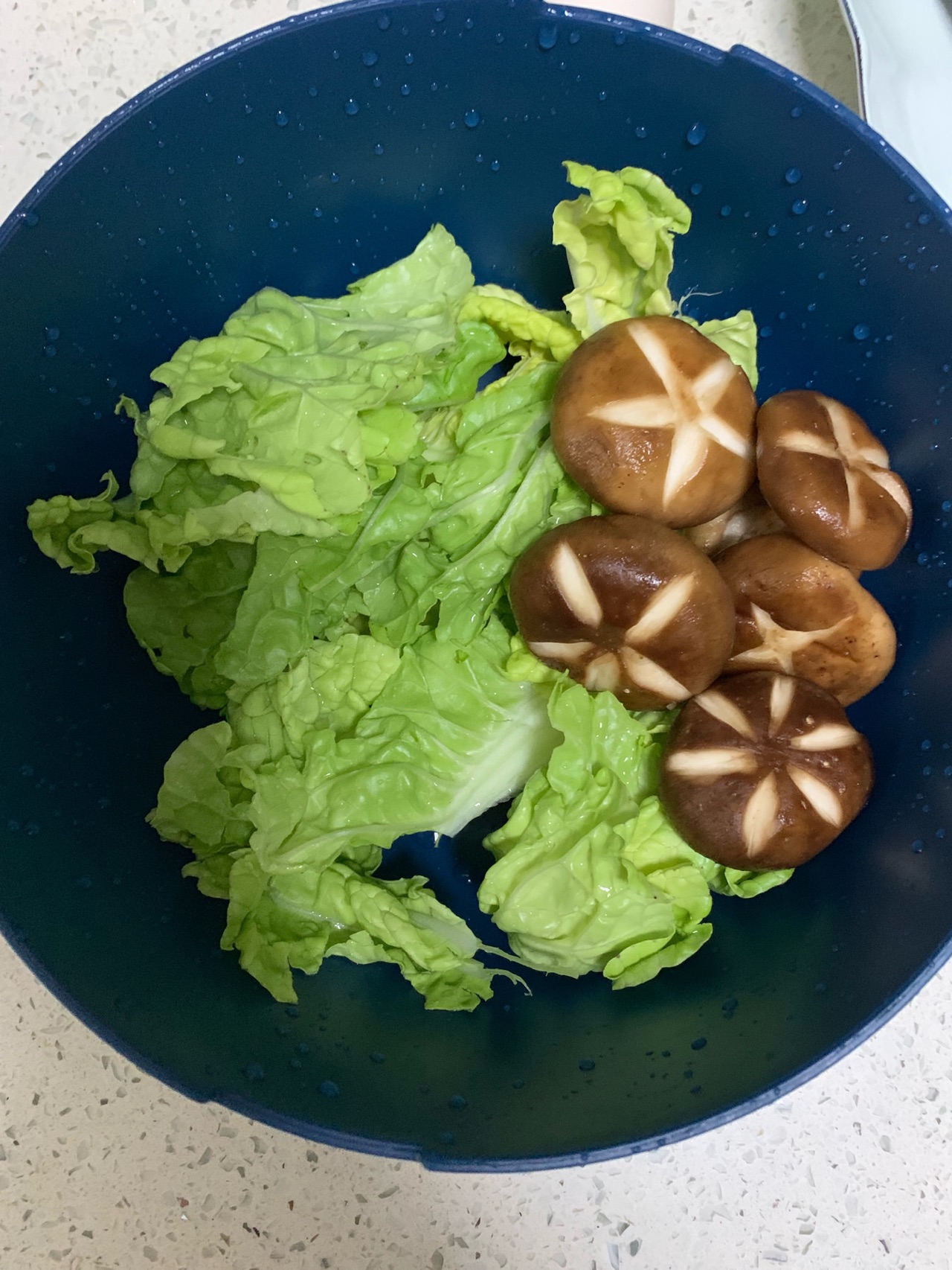 鲜香奶白香菇煎蛋汤面
