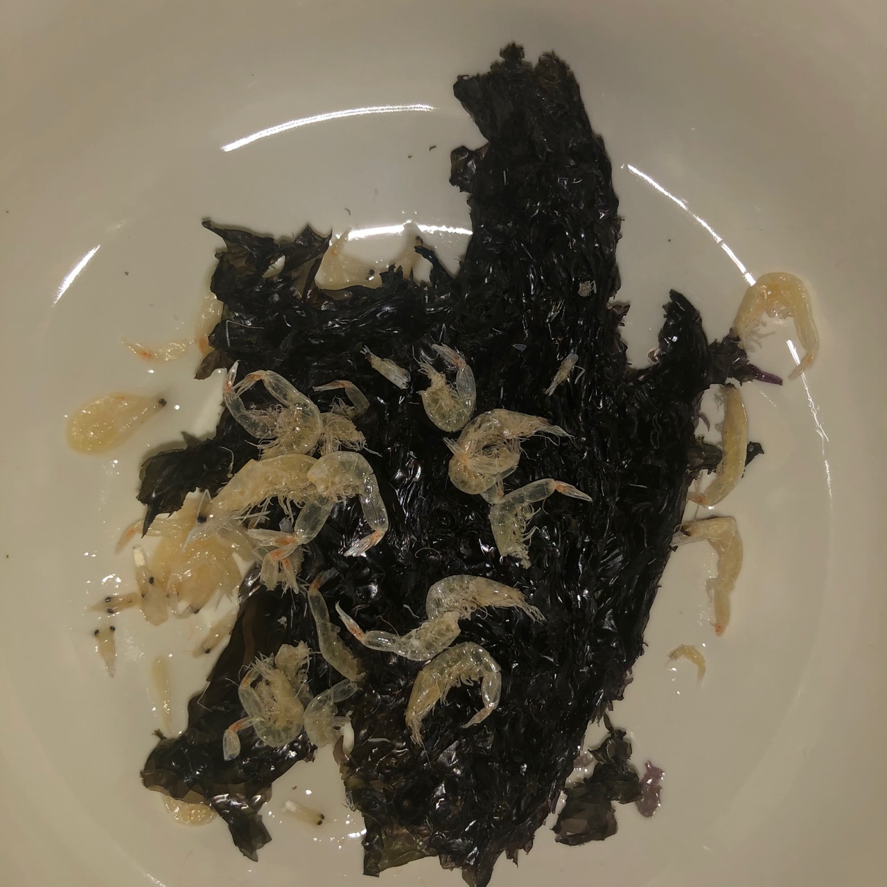 咸香鲜甜馄饨