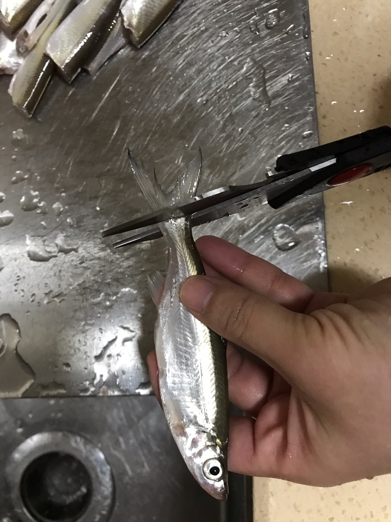 鲜香油煎小河鱼