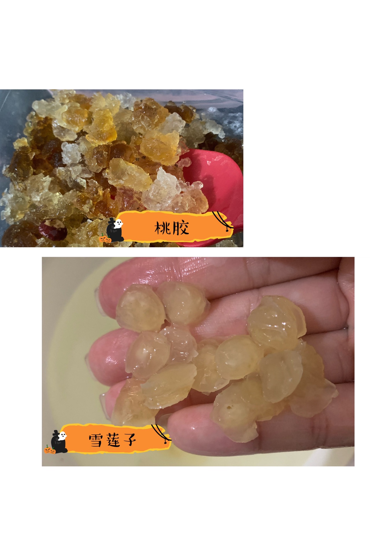 鲜雪儿桃胶奶