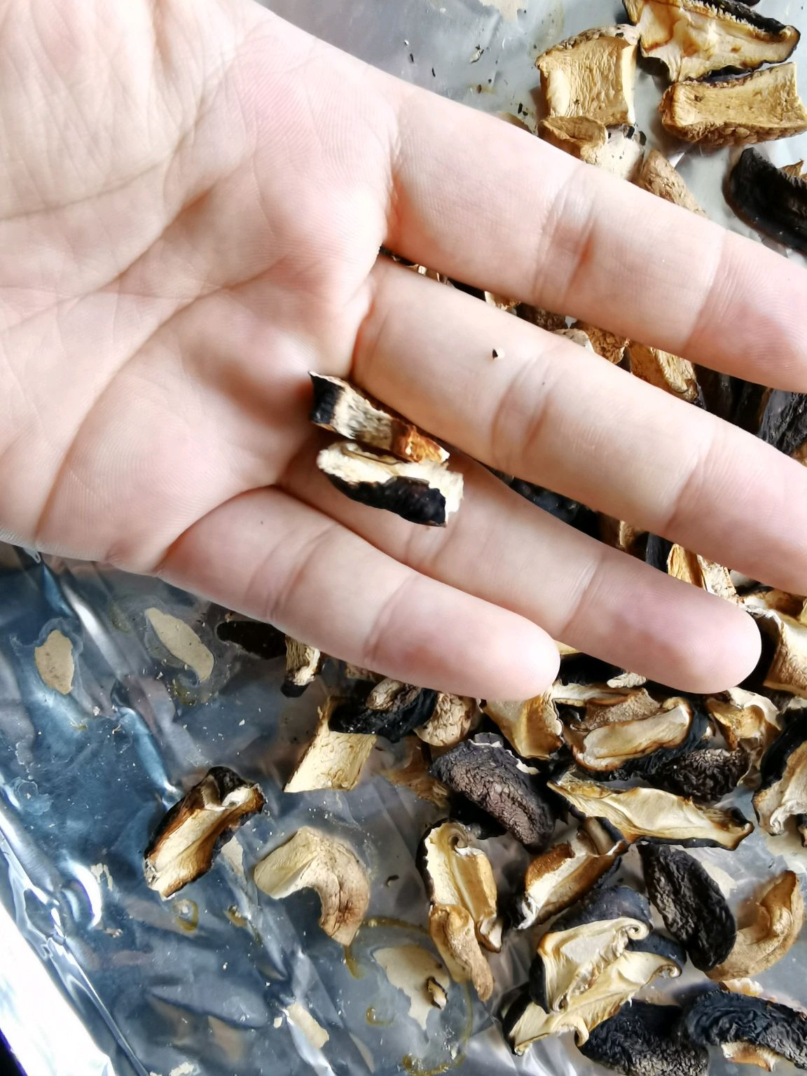 香菇粉