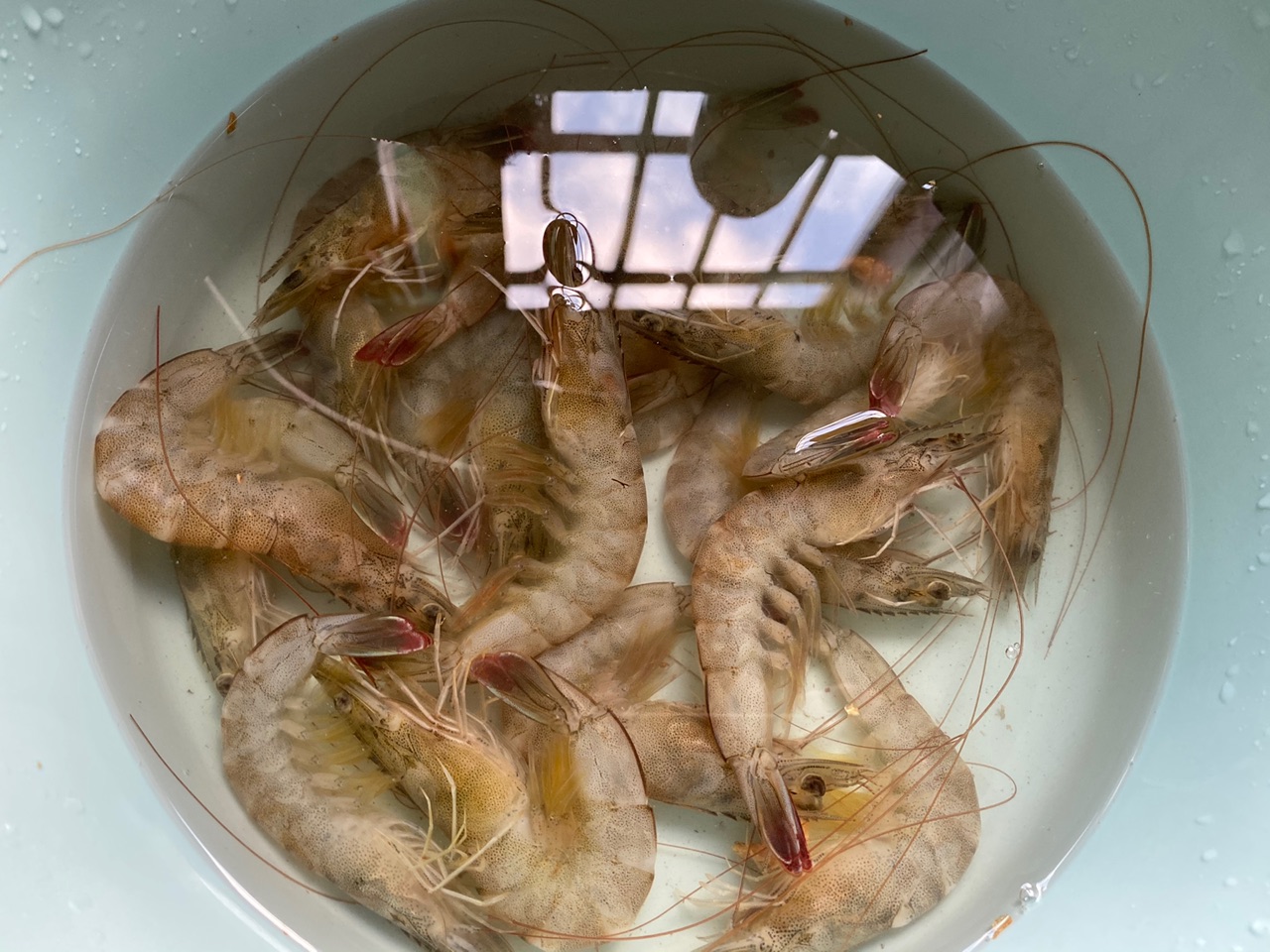 香辣烤虾