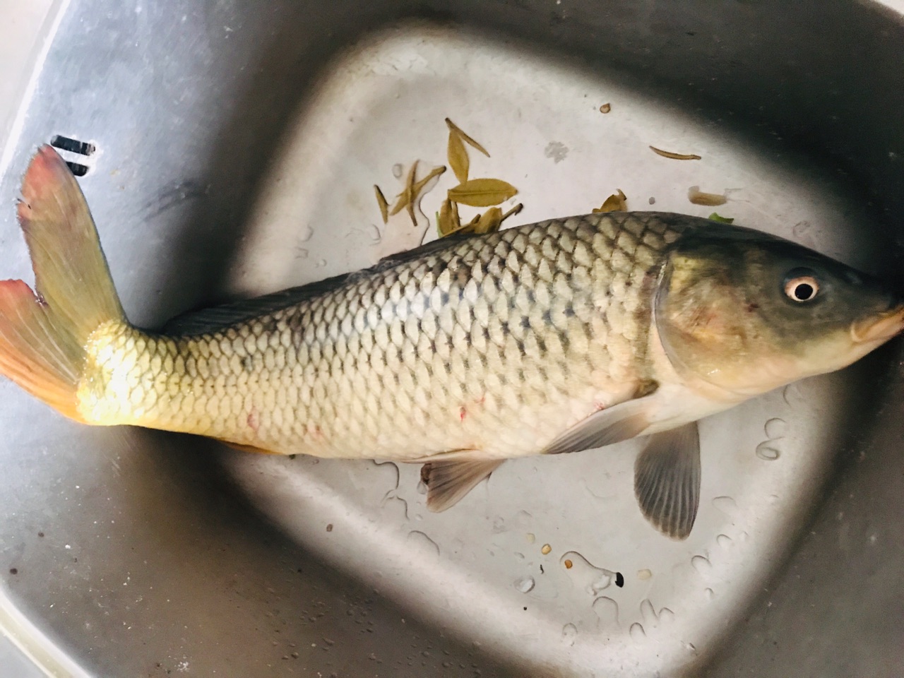 香辣鲤鱼