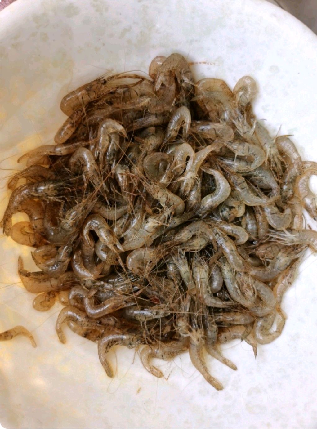 香辣小河虾