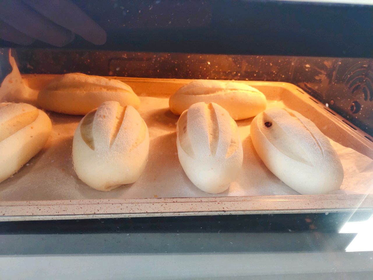 香提牛奶哈斯
