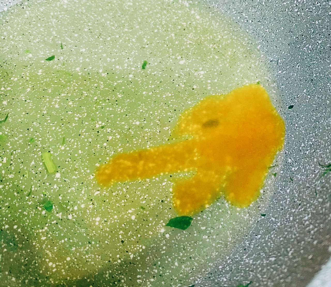 香油鸡汁豆苗旋