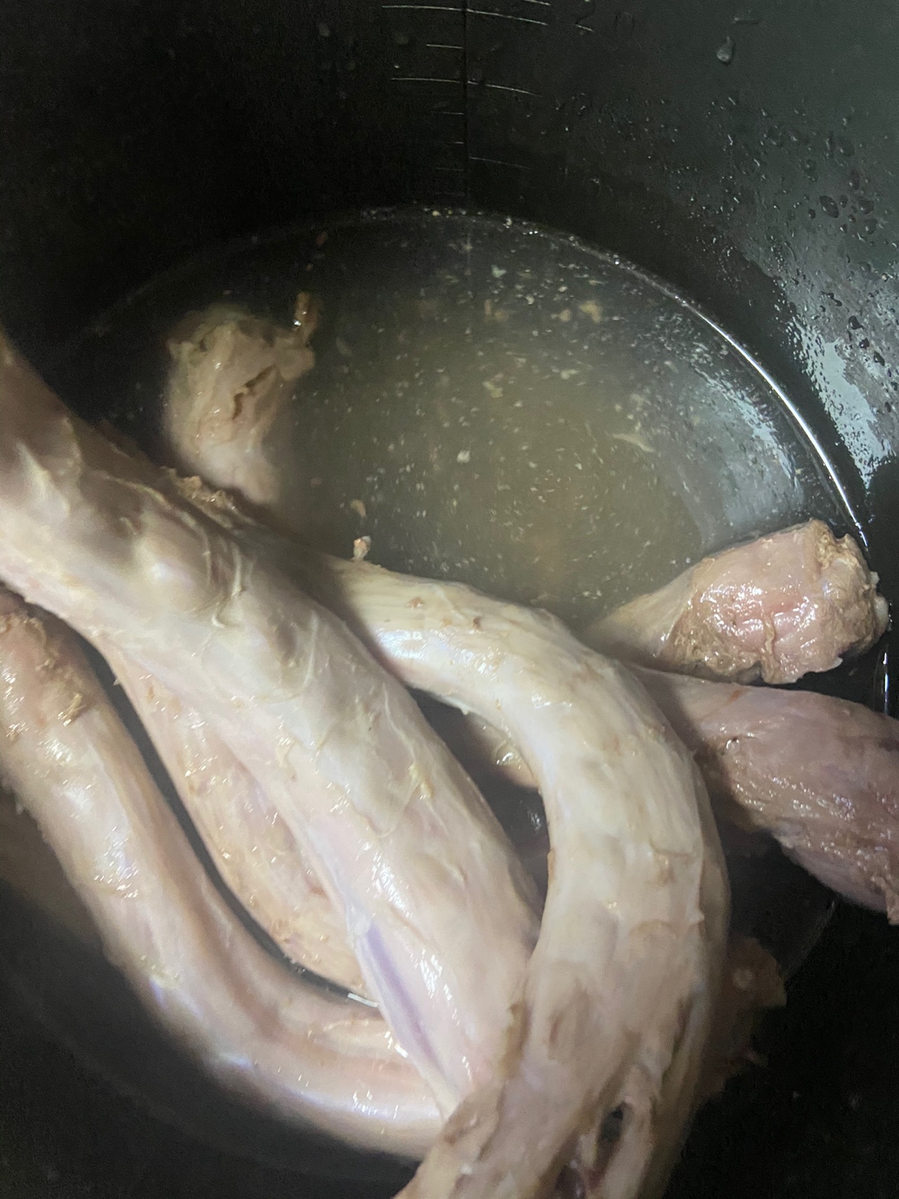 小花黑鸭