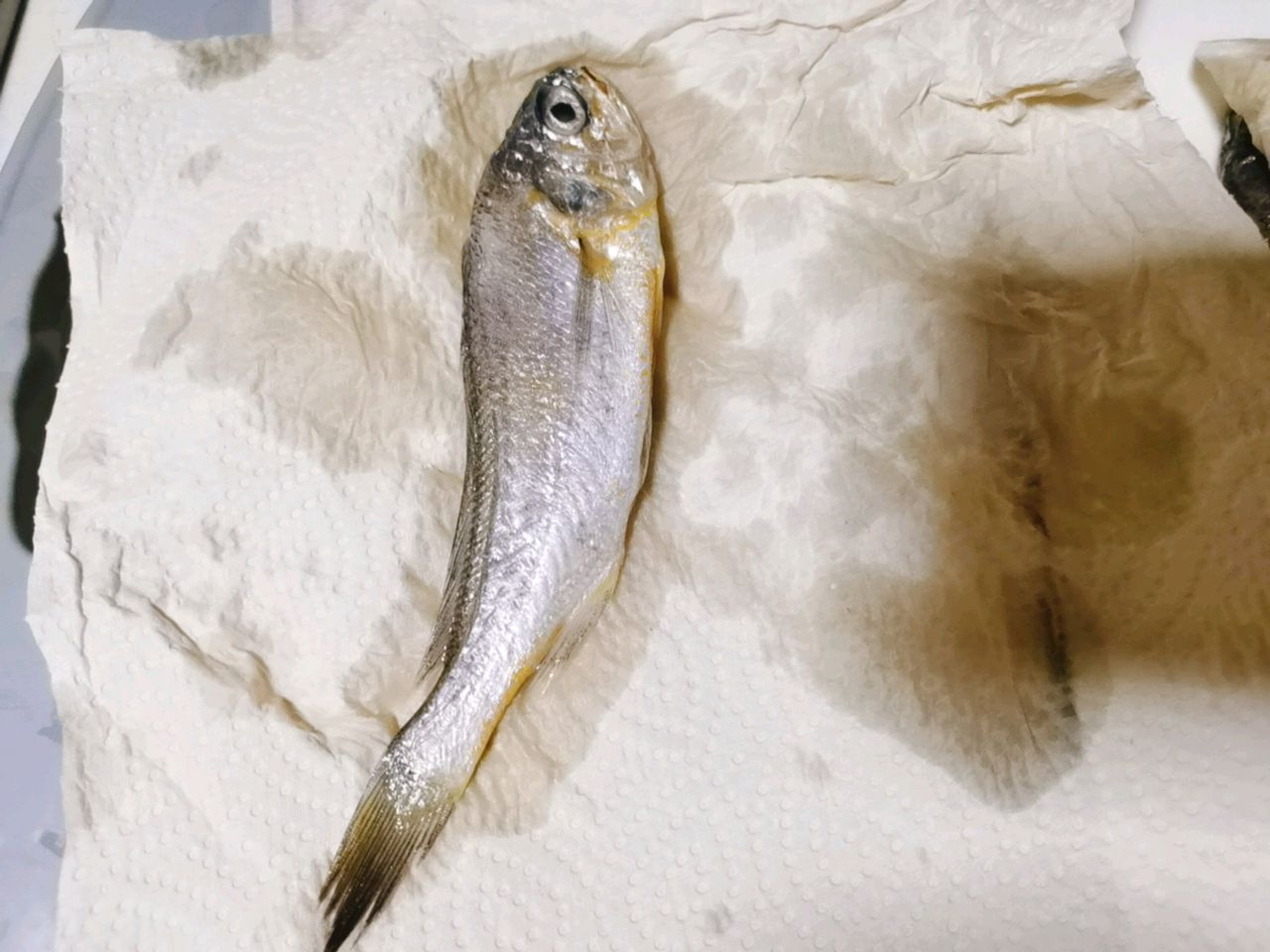 小黄鱼面线汤