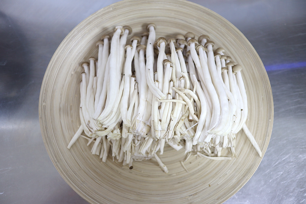 小鸡炖蘑菇