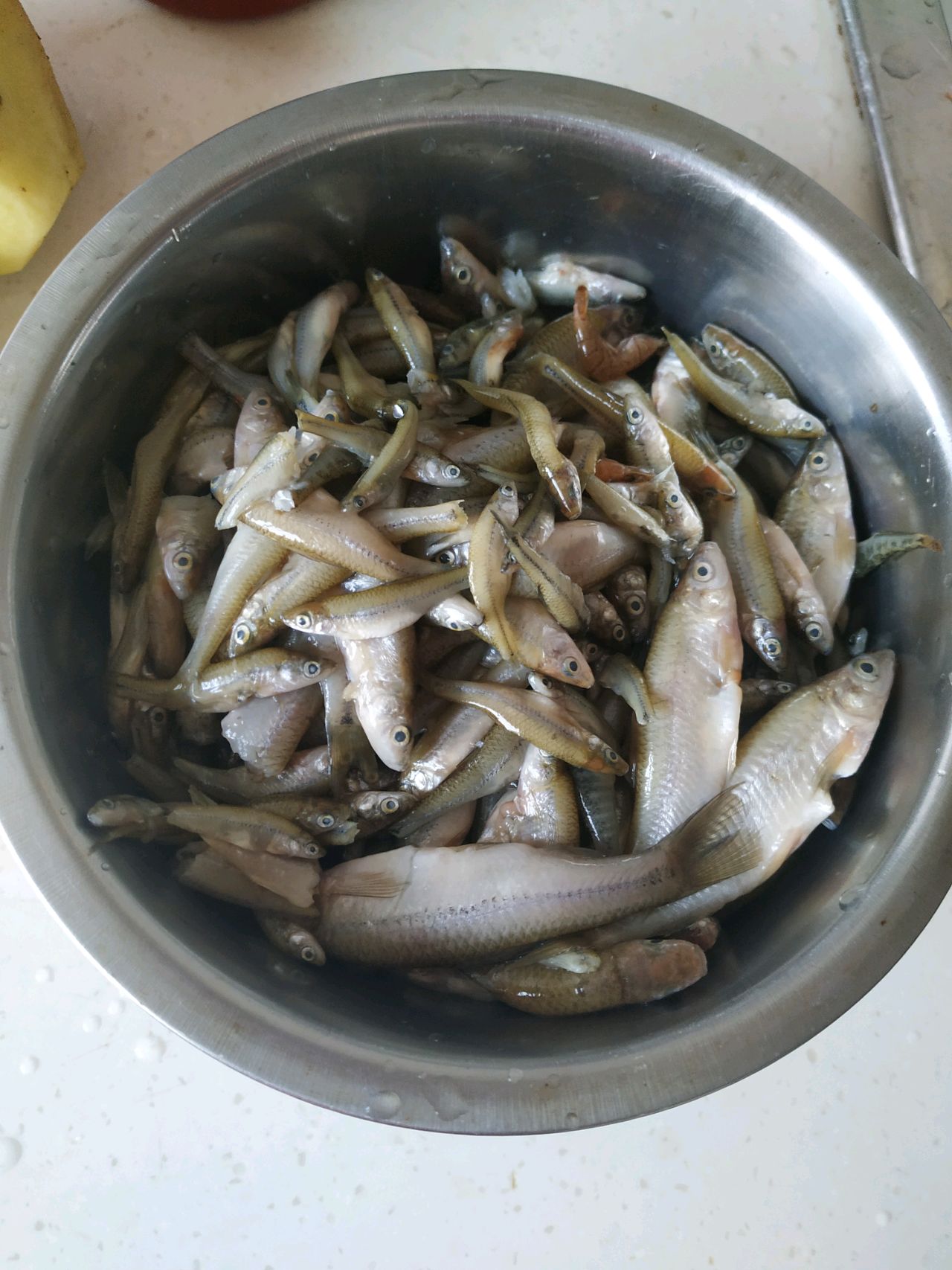 小鱼酱