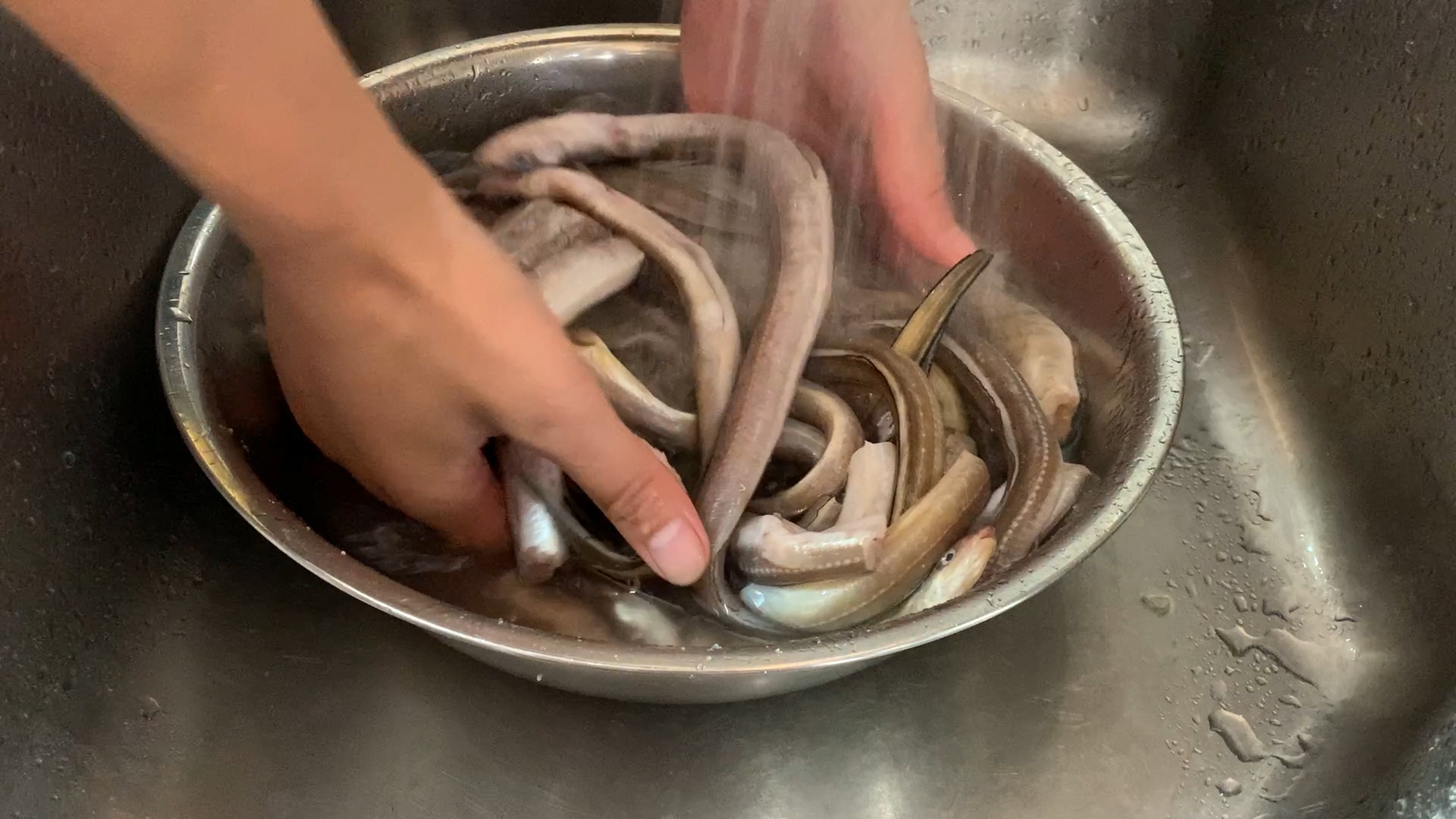 小杂鱼