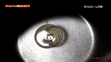 新年财源滚滚来-豉汁凤爪
