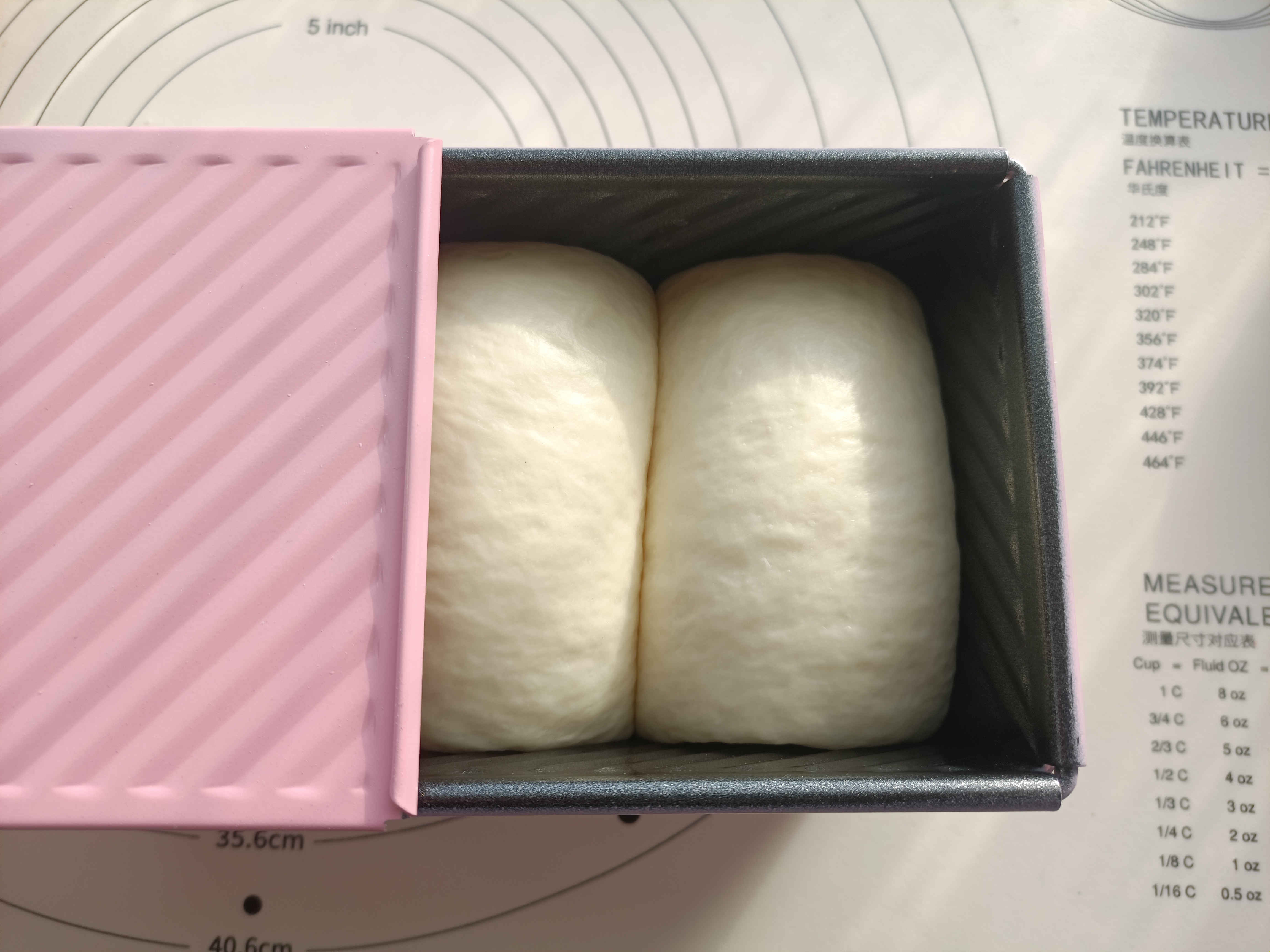 新年DIY家庭节目  牛牛图案吐司~