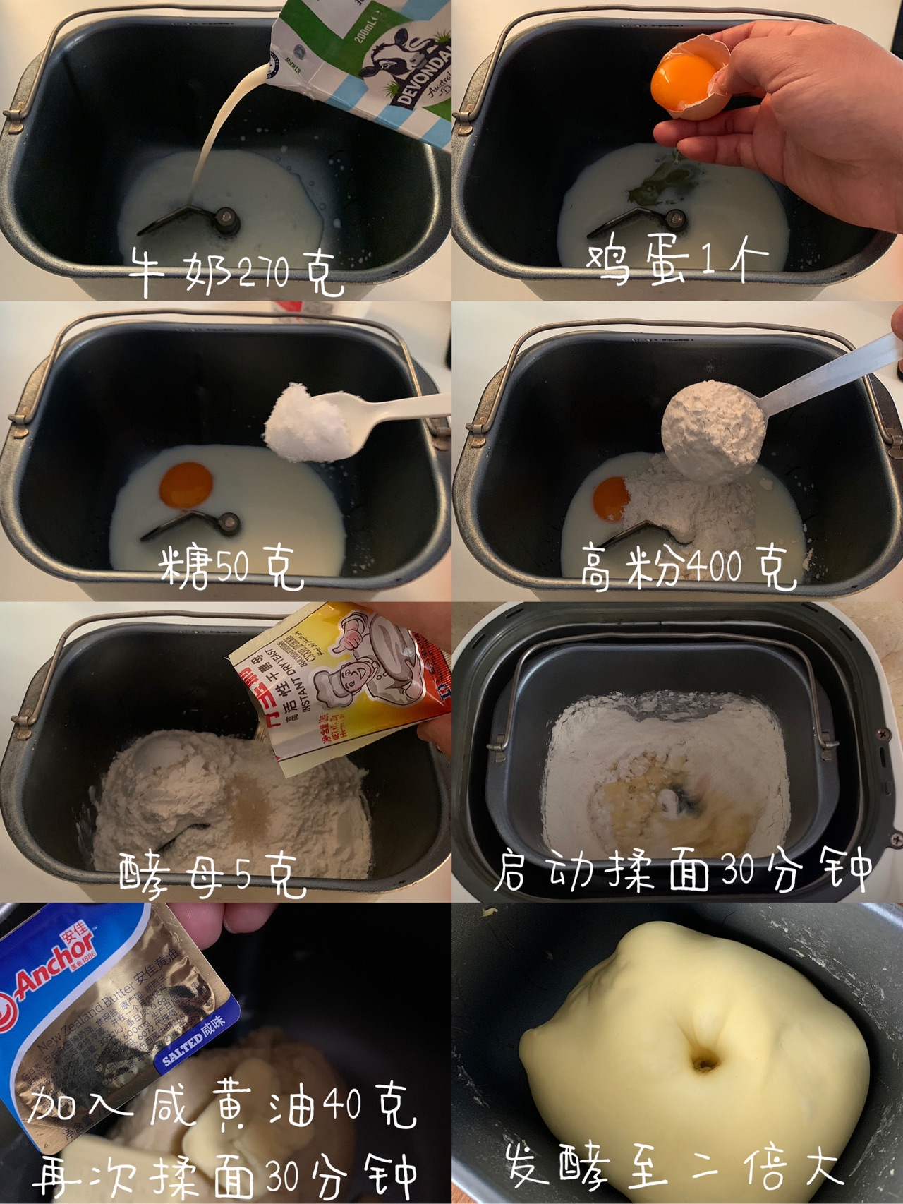 【新年宅家美食｜蝴蝶结面包｜万能基础面包】